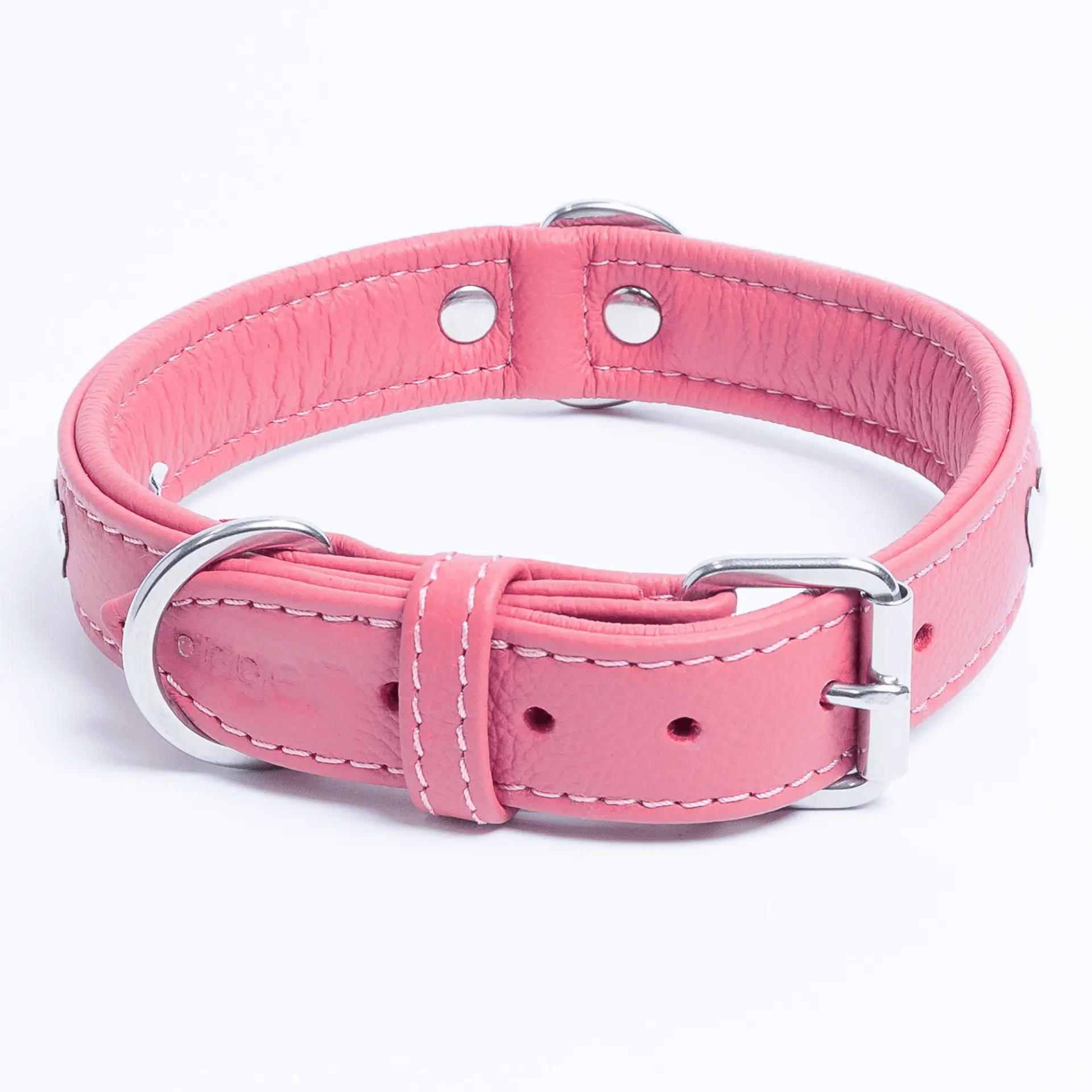 14031425_large.webp — Trend Oasis