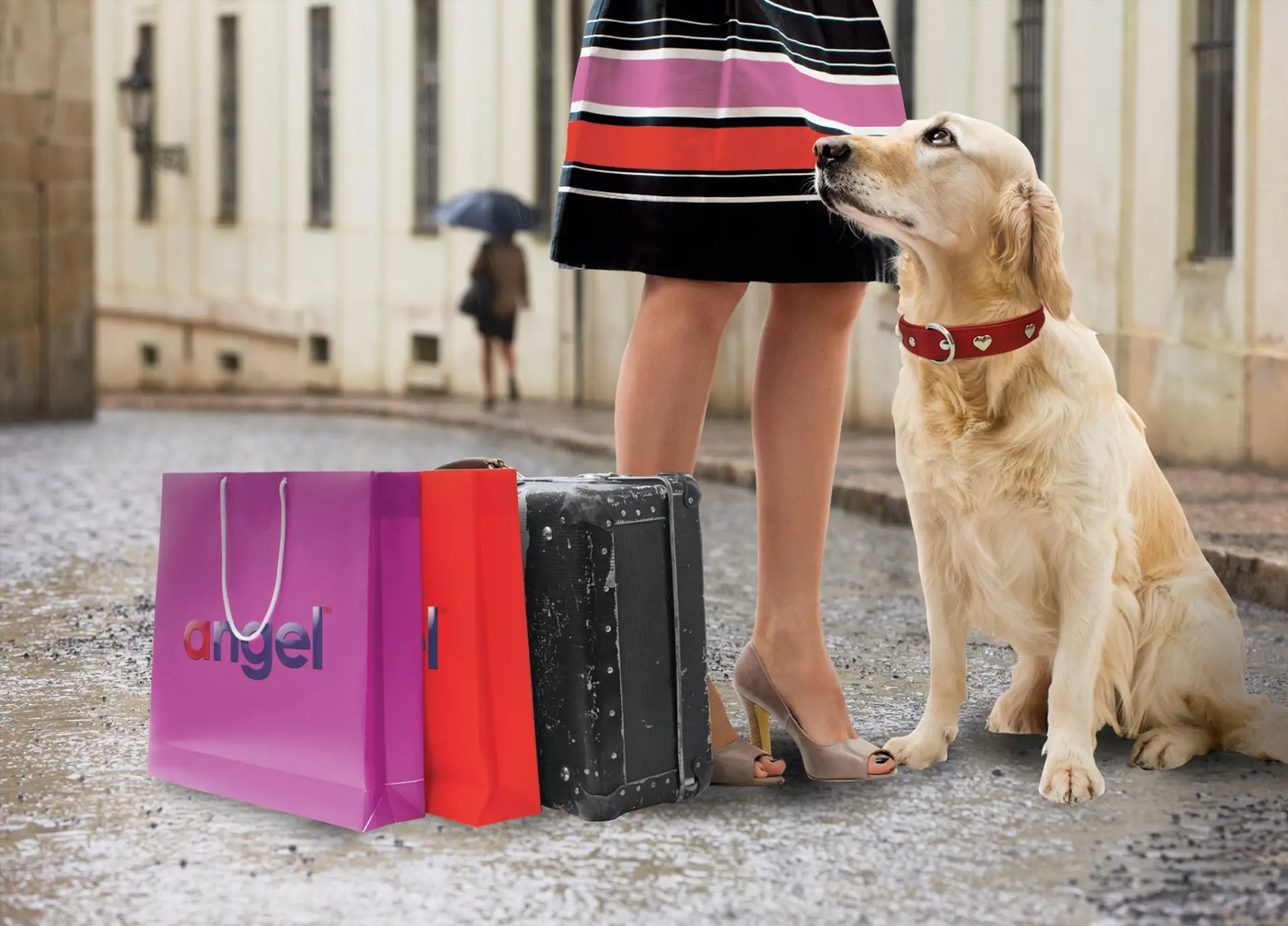 14031430_large.webp — Trend Oasis