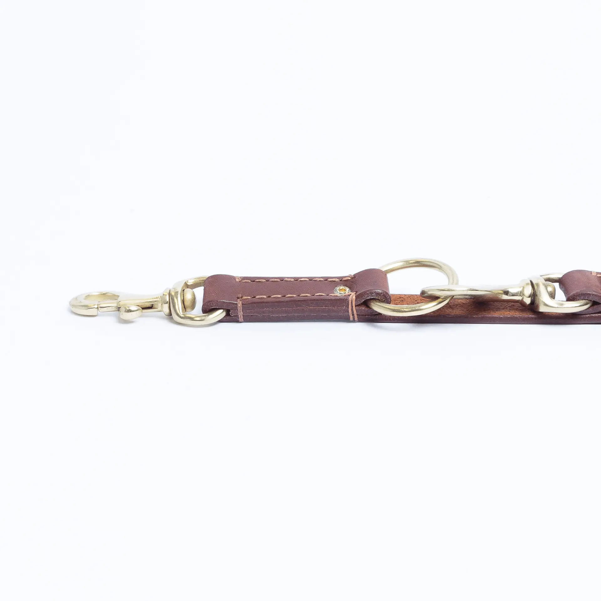 14031562_large.webp — Trend Oasis