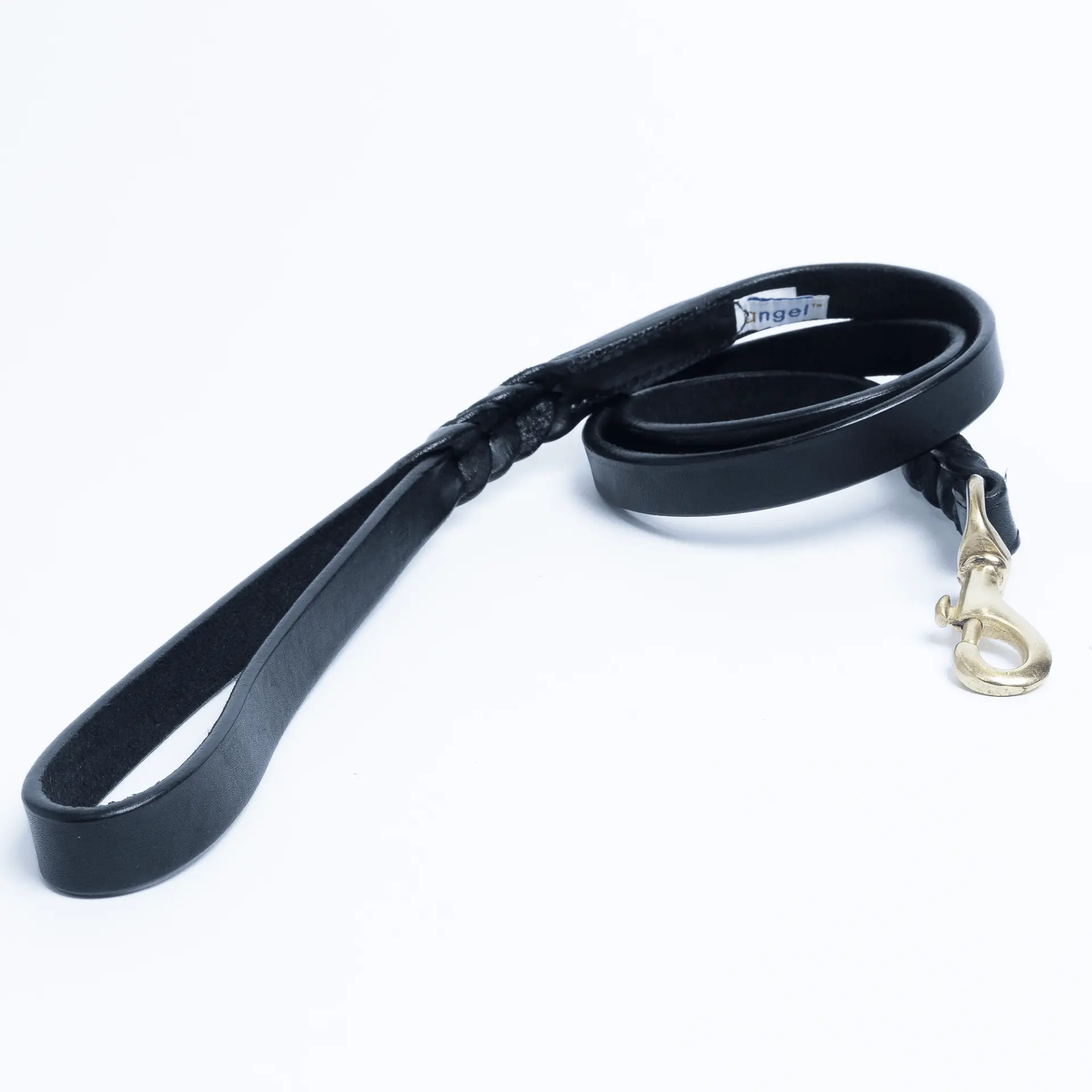 14031615_large.webp — Trend Oasis