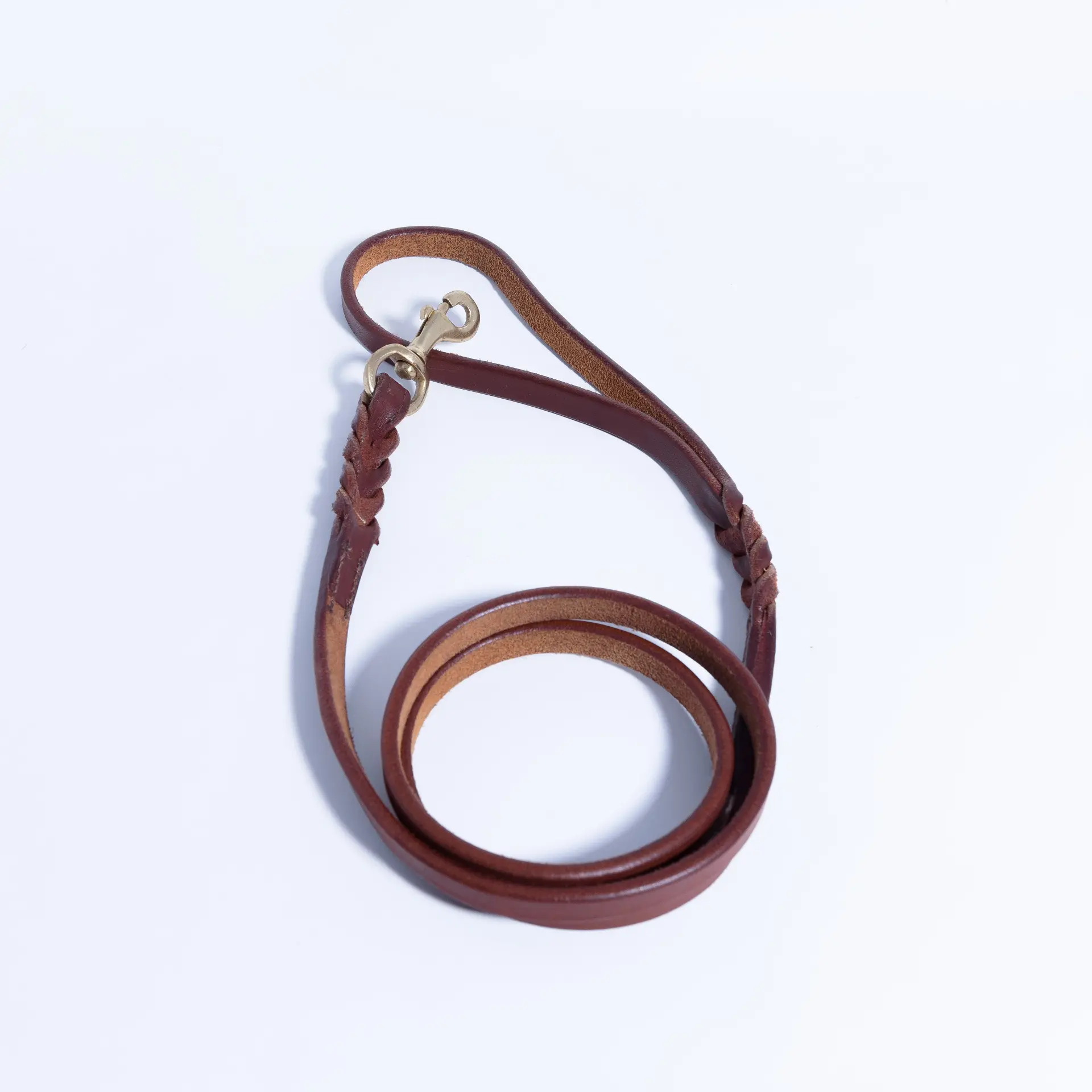 14031643_large.webp — Trend Oasis