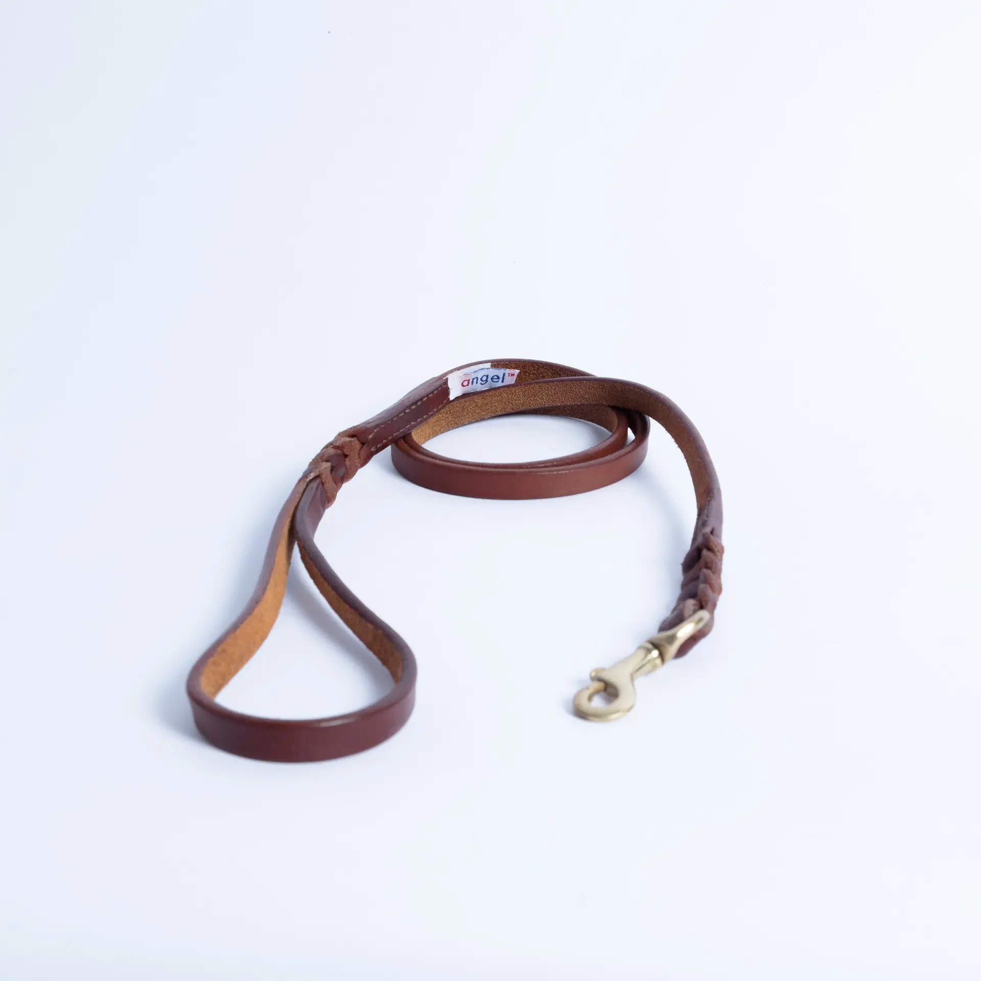 14031644_large.webp — Trend Oasis