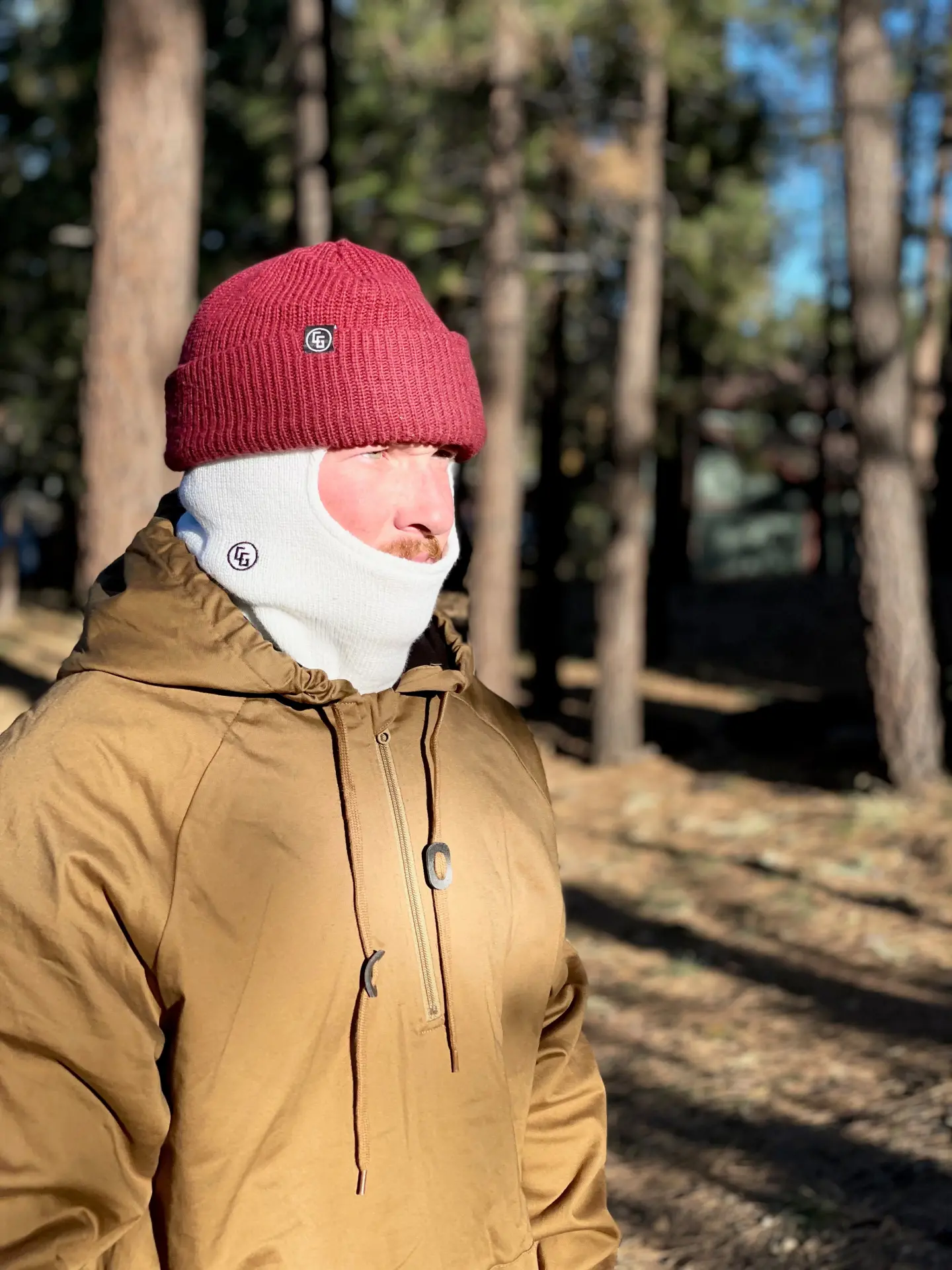 16336821_largewebp — Trend Oasis