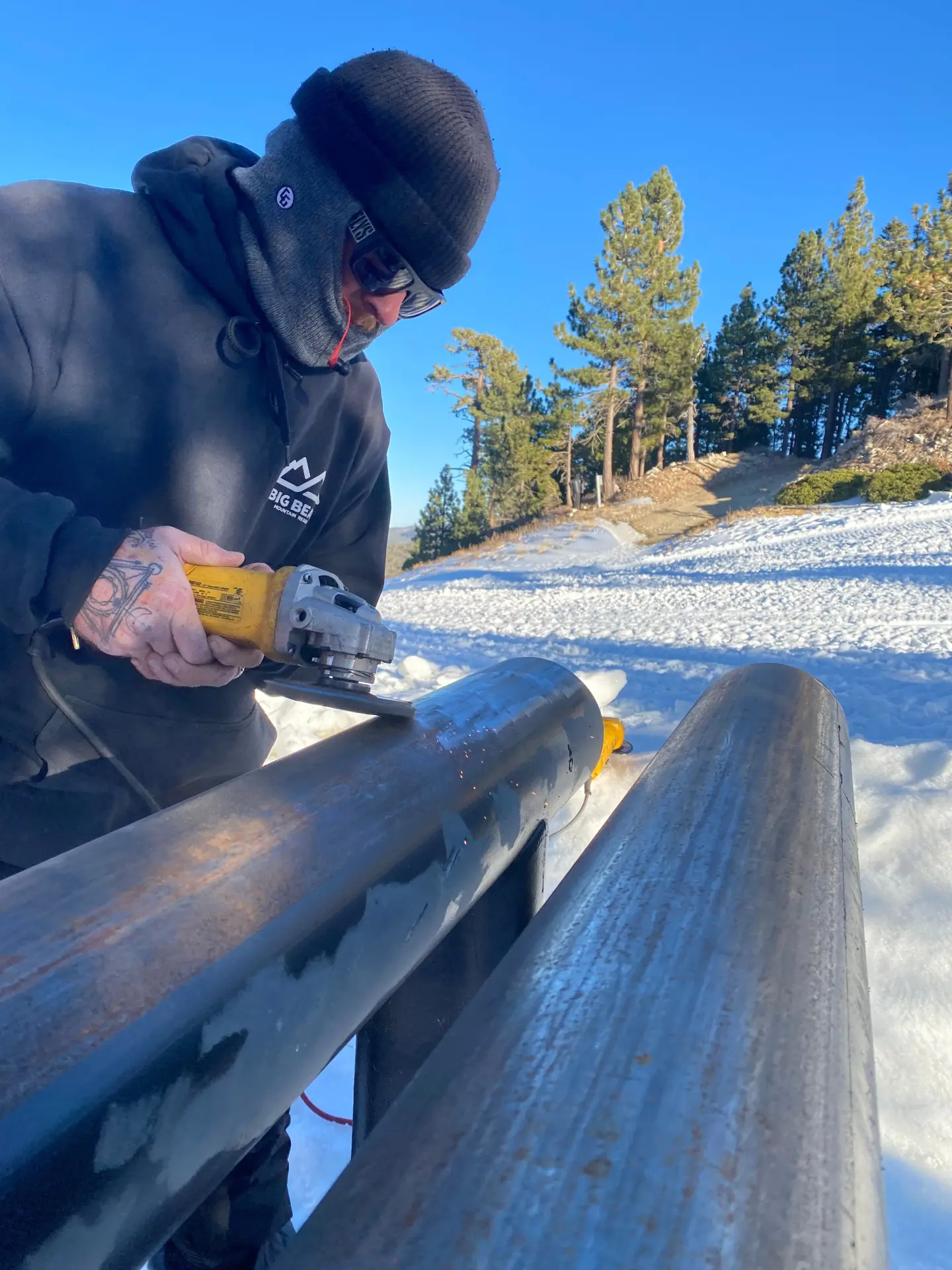 16336822_largewebp — Trend Oasis