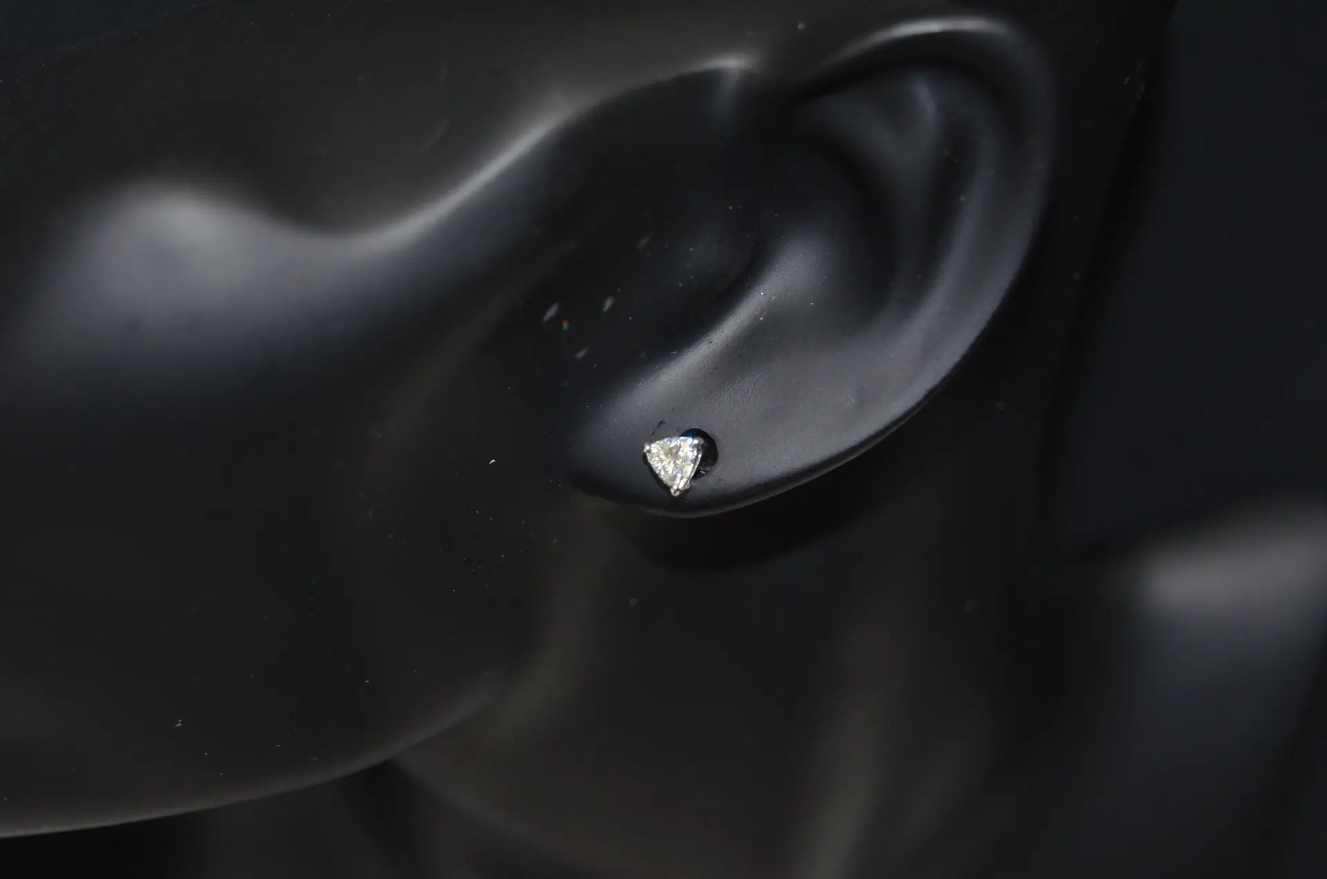 23493473_largewebp — Trend Oasis