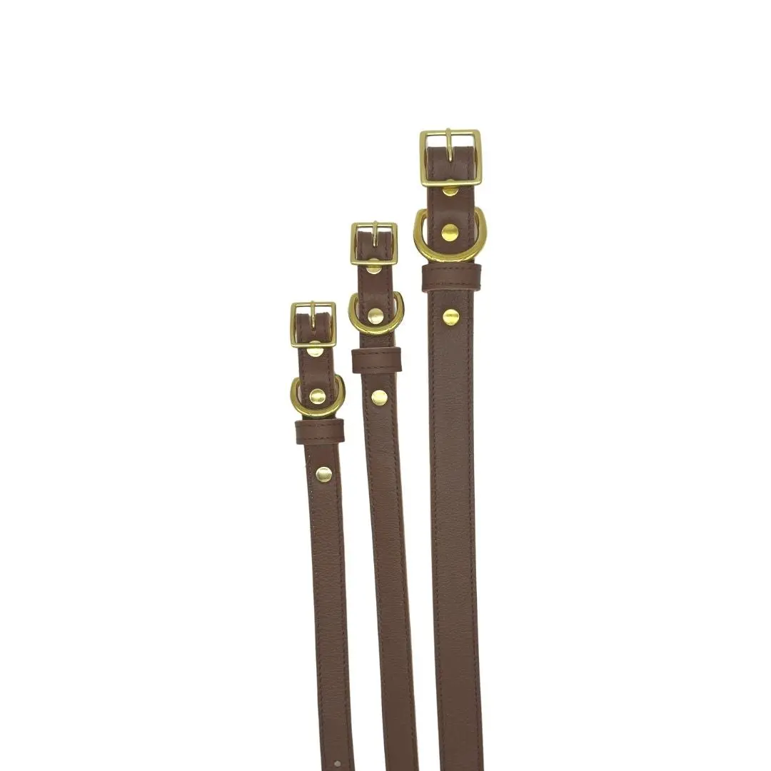 25532308_largewebp — Trend Oasis