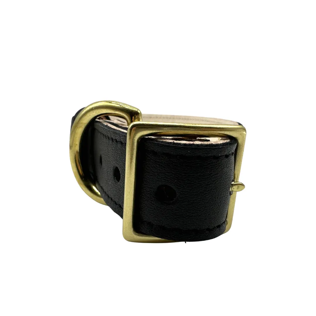 25532321_largewebp — Trend Oasis