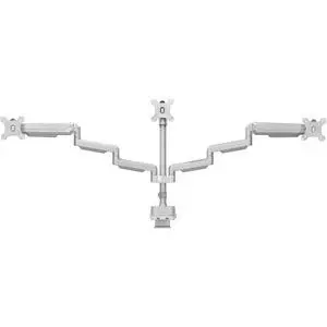 30948843_large.webp — Trend Oasis