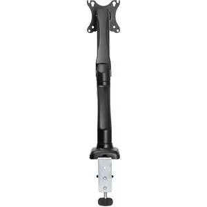 30948880_large.webp — Trend Oasis