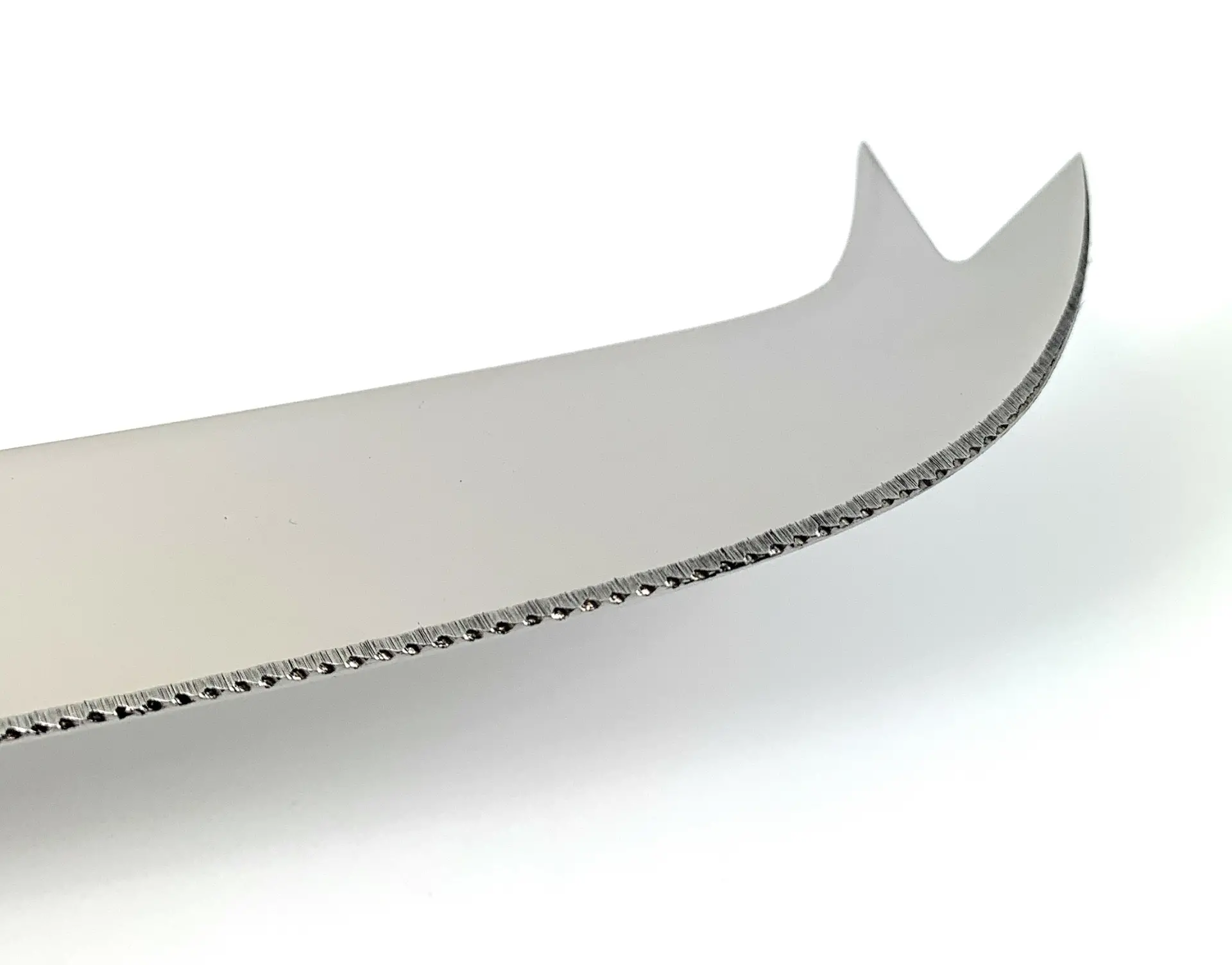 3328523_largewebp — Trend Oasis