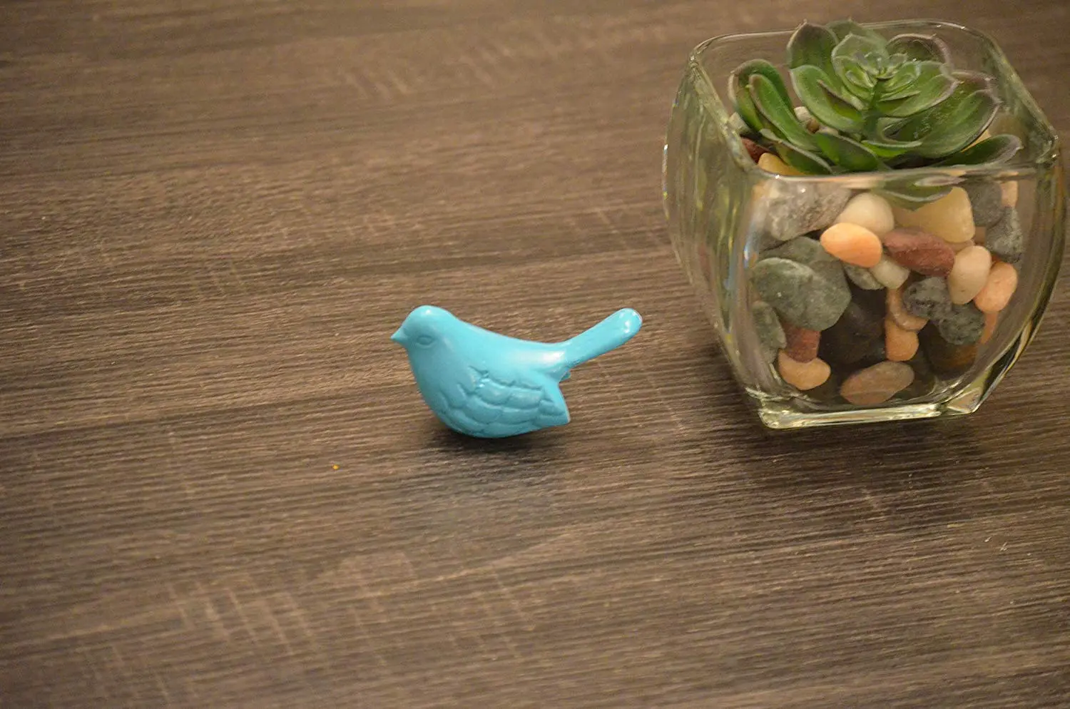 3328553_largewebp — Trend Oasis