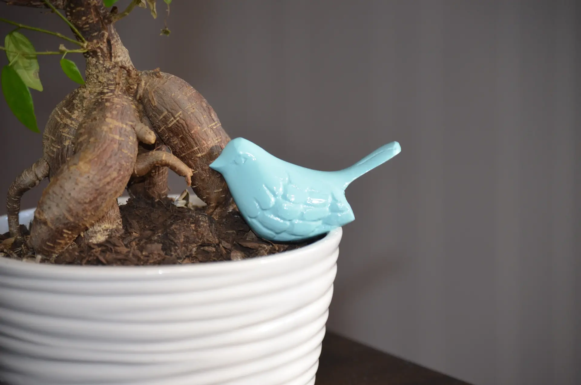 3328586_largewebp — Trend Oasis