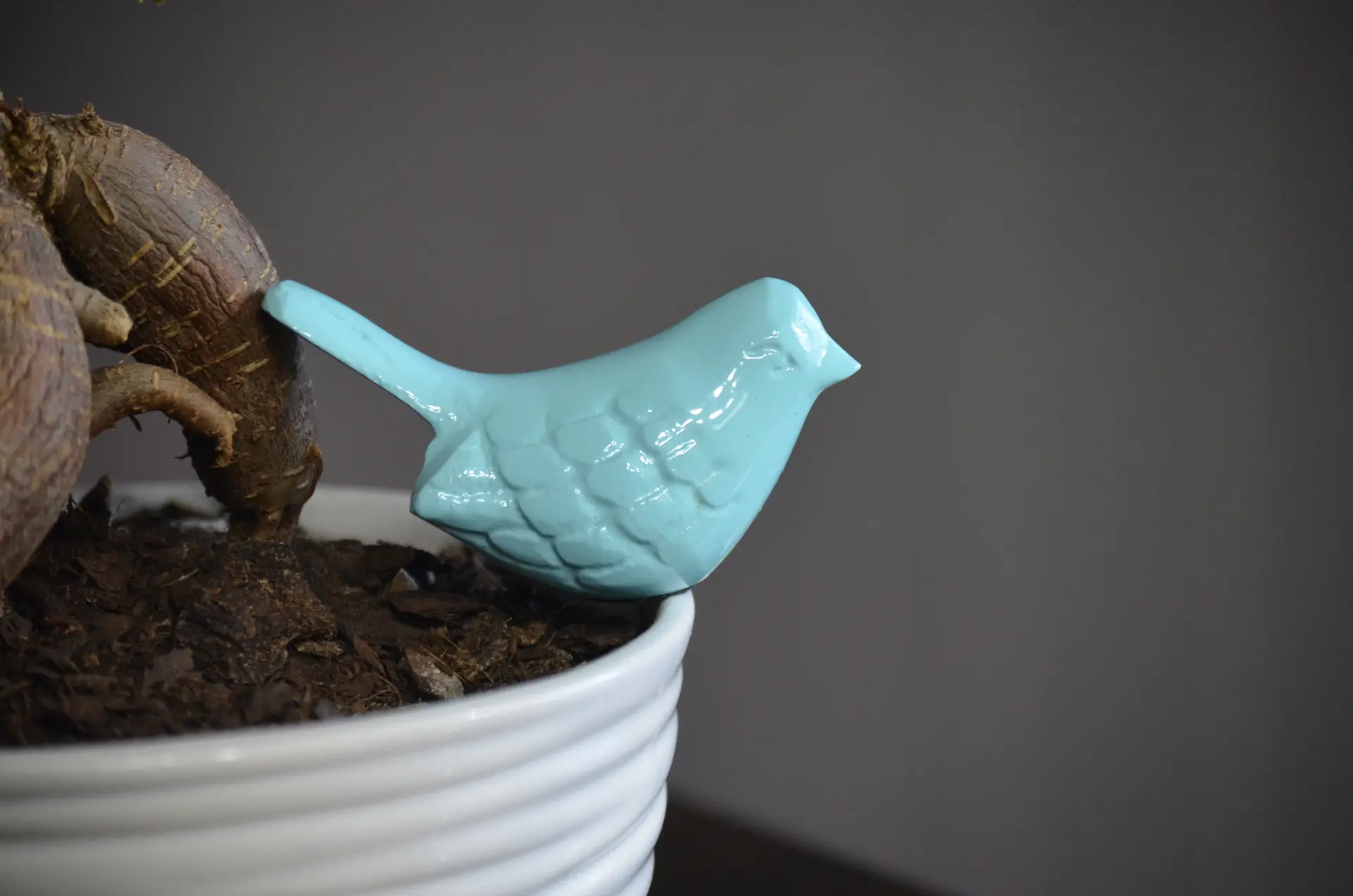 3328587_largewebp — Trend Oasis