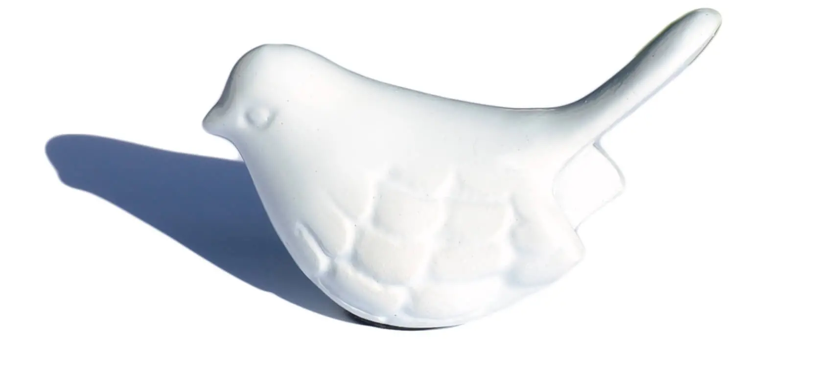 3328676_largewebp — Trend Oasis