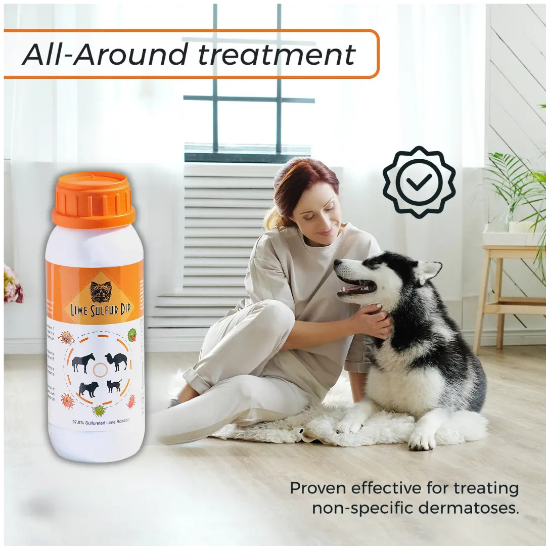 33625314_largewebp — Trend Oasis