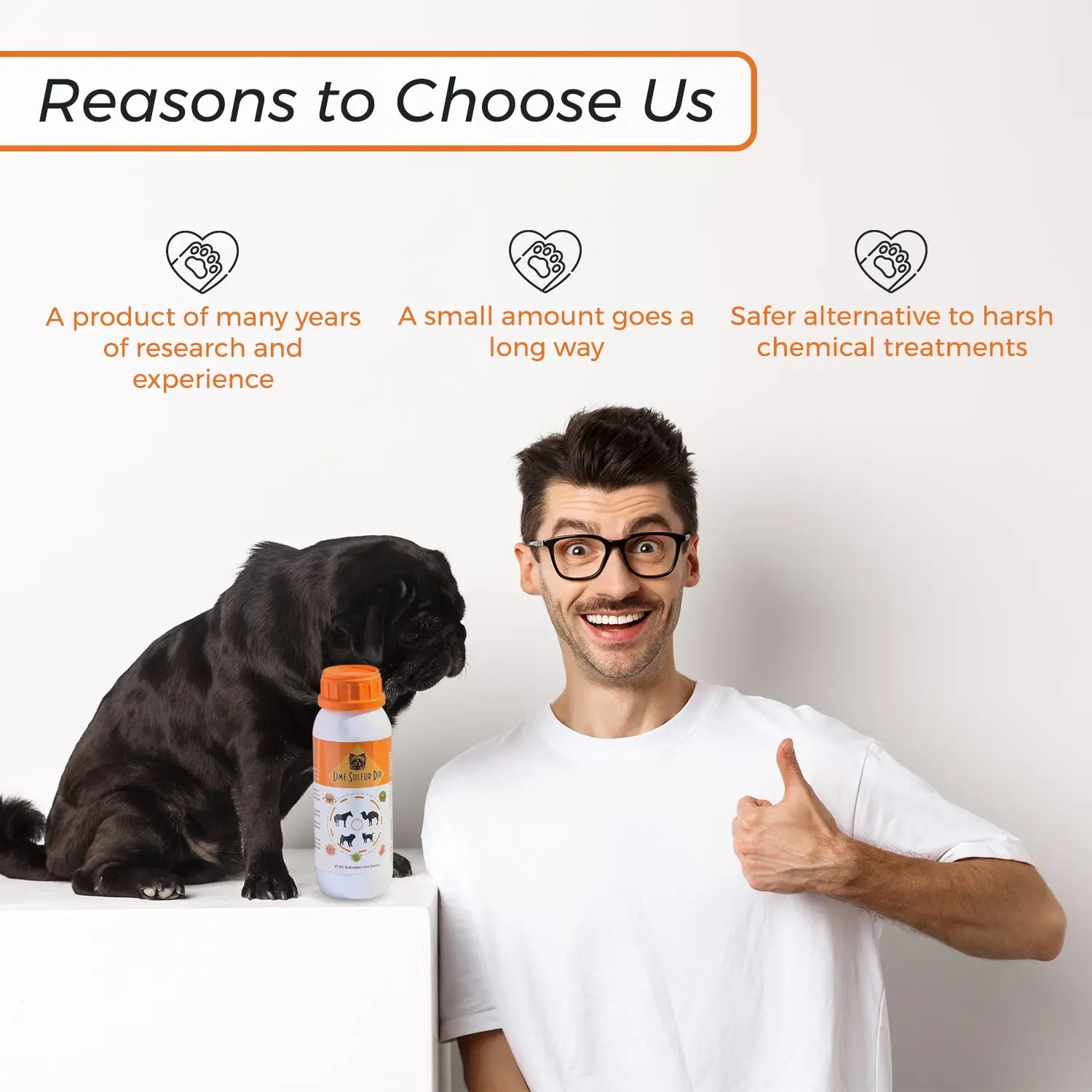 34588133_largewebp — Trend Oasis