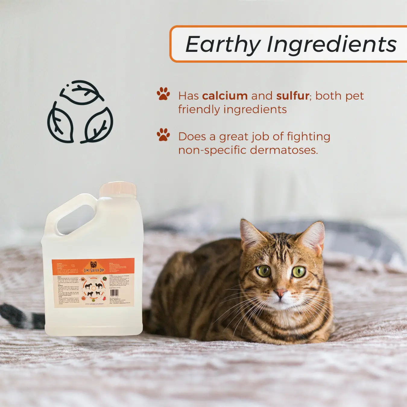 34623665_largewebp — Trend Oasis