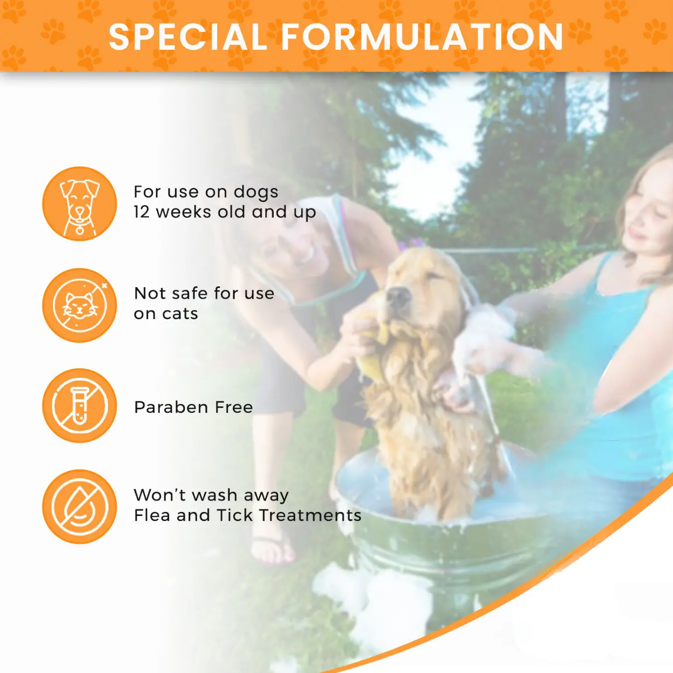 34623670_largewebp — Trend Oasis