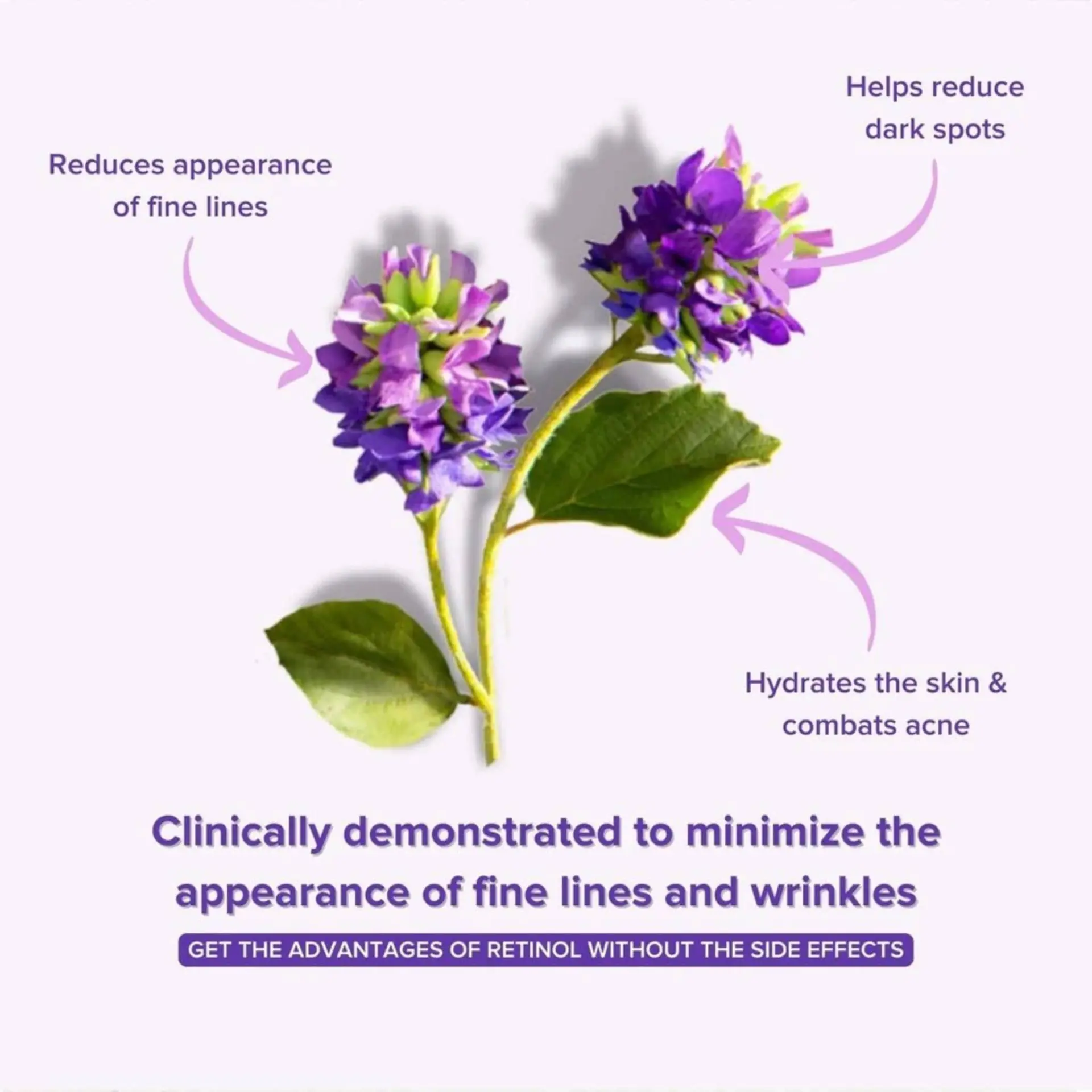 35588807_largewebp — Trend Oasis