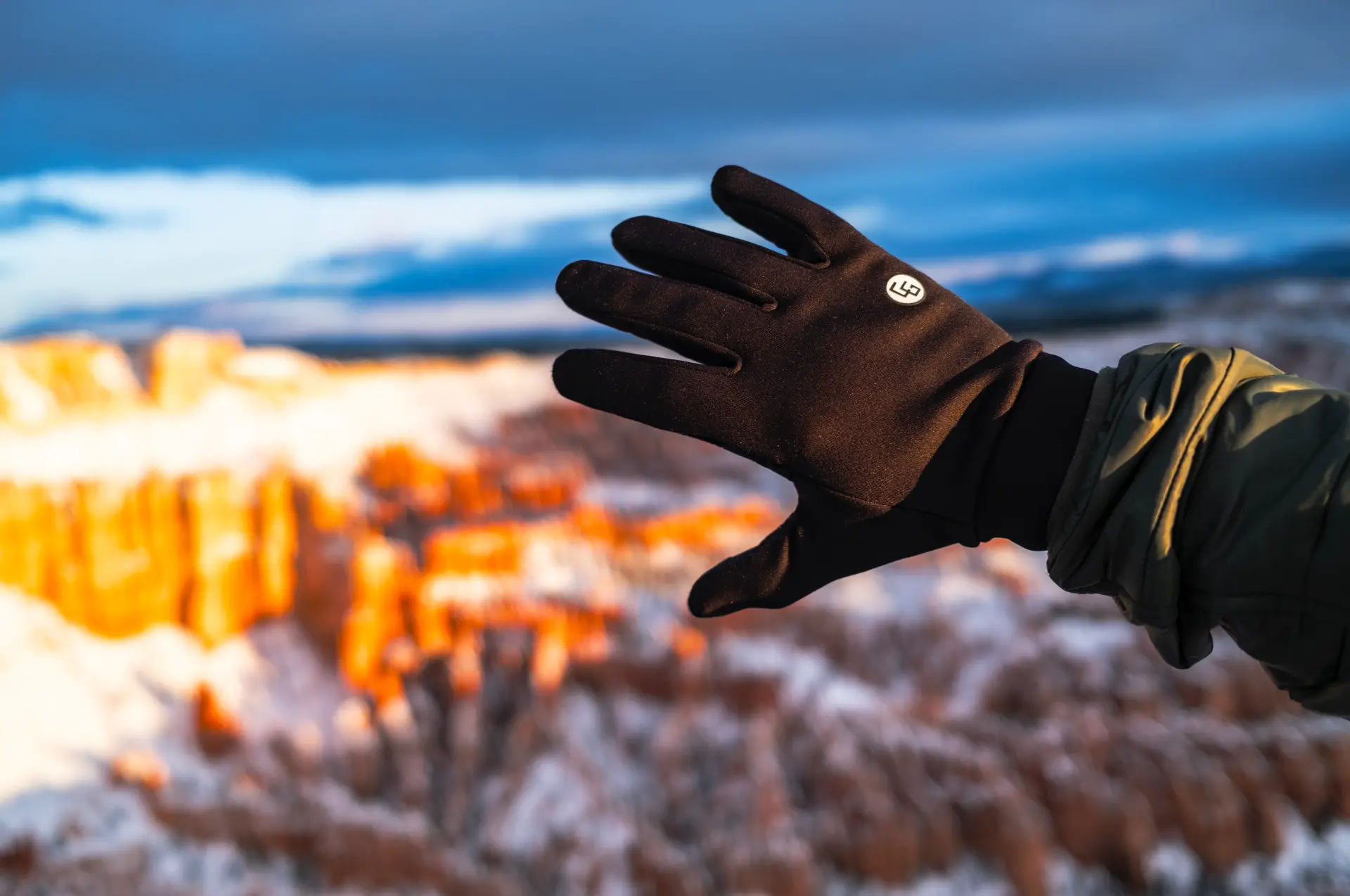 38796978_largewebp — Trend Oasis