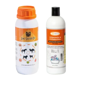 39927556_large.webp — Trend Oasis