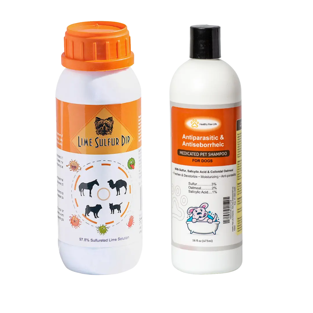 39927556_large.webp — Trend Oasis