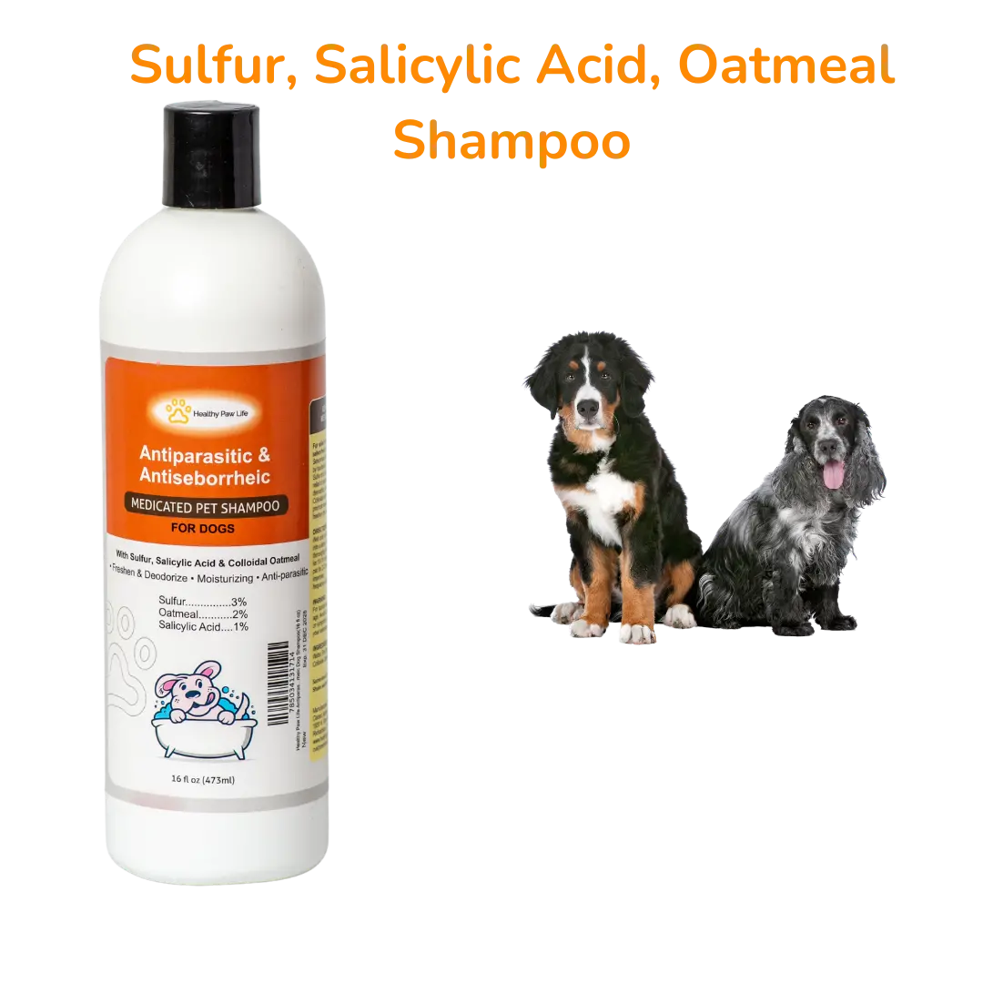 39927560_largewebp — Trend Oasis