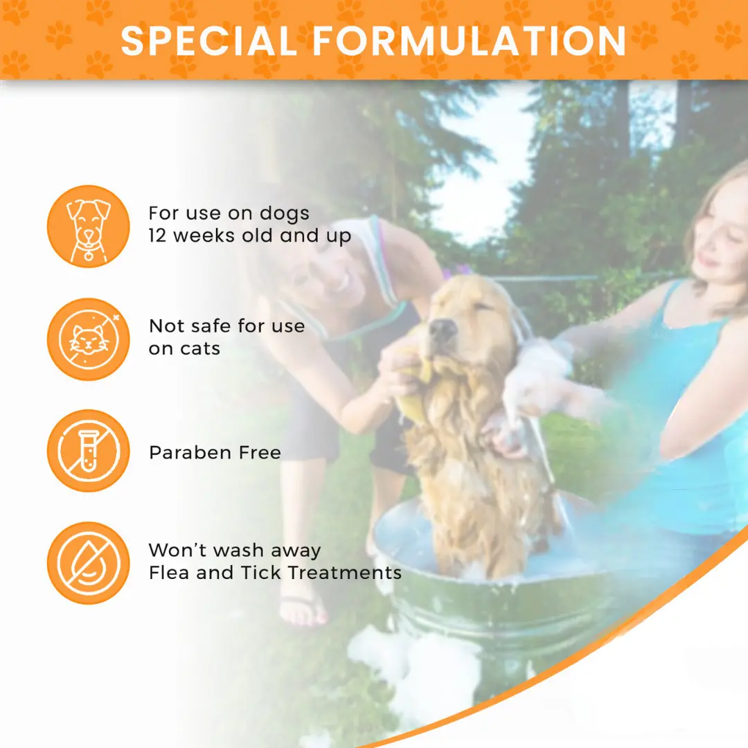 39927562_largewebp — Trend Oasis