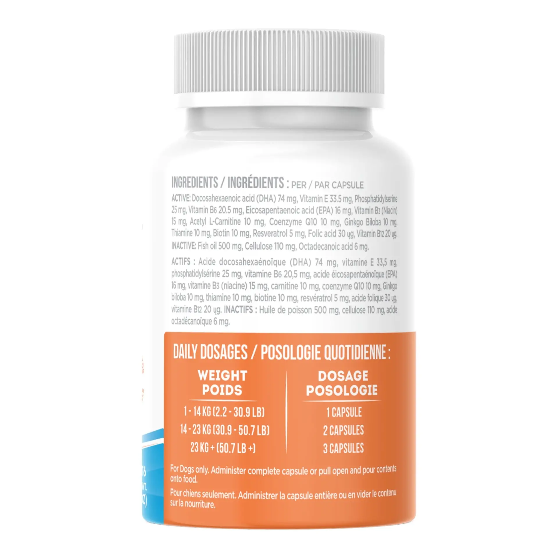 40248046_largewebp — Trend Oasis