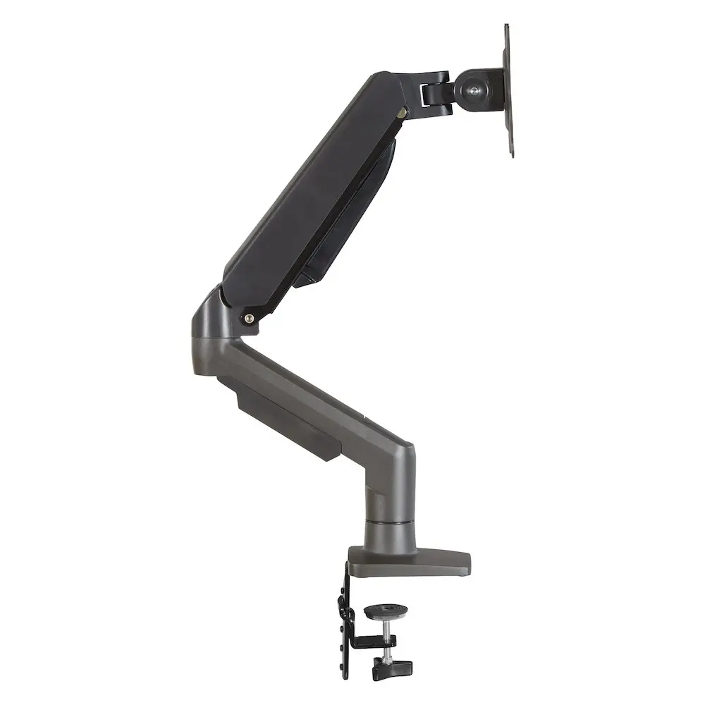 53239304_large.webp — Trend Oasis