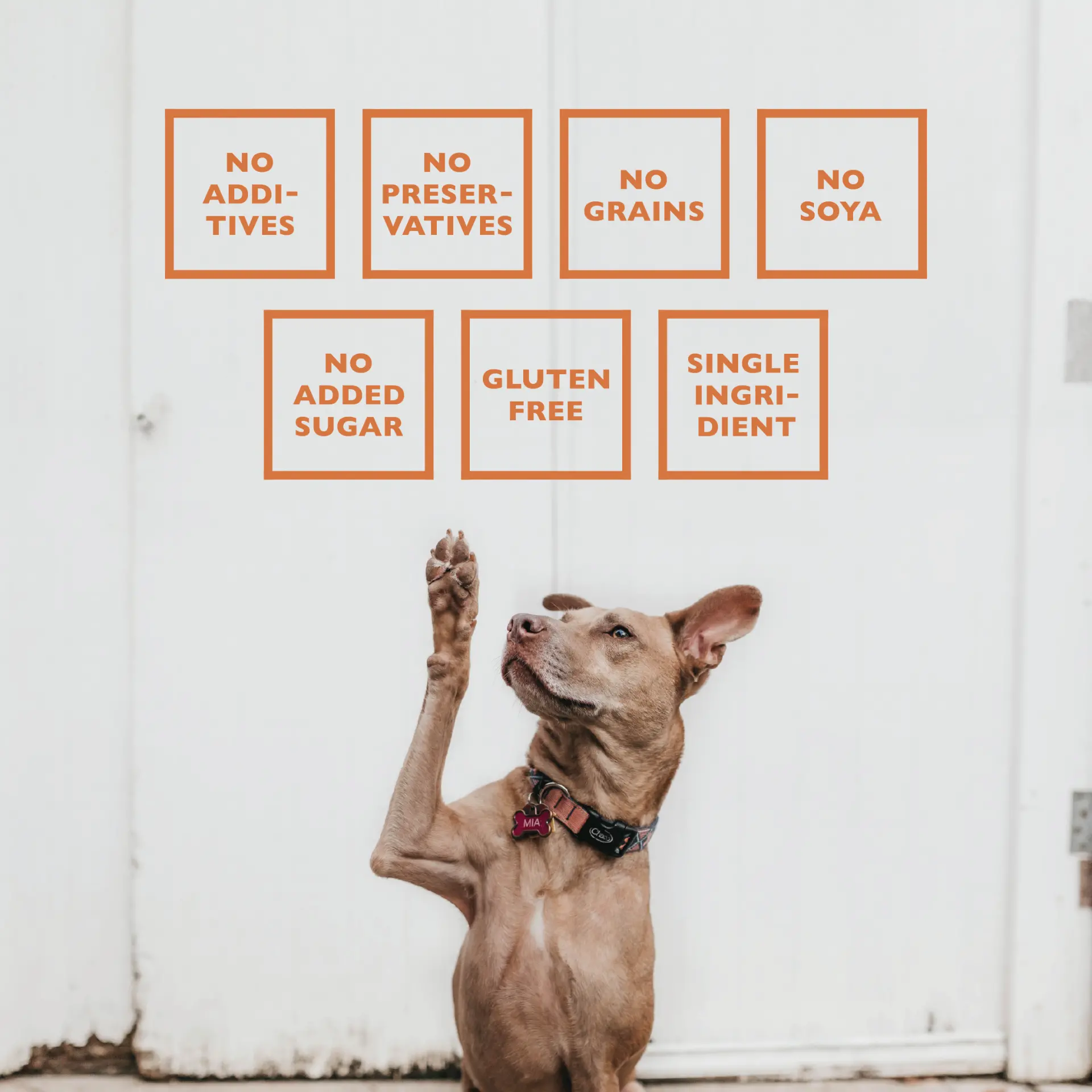 59270731_largewebp — Trend Oasis