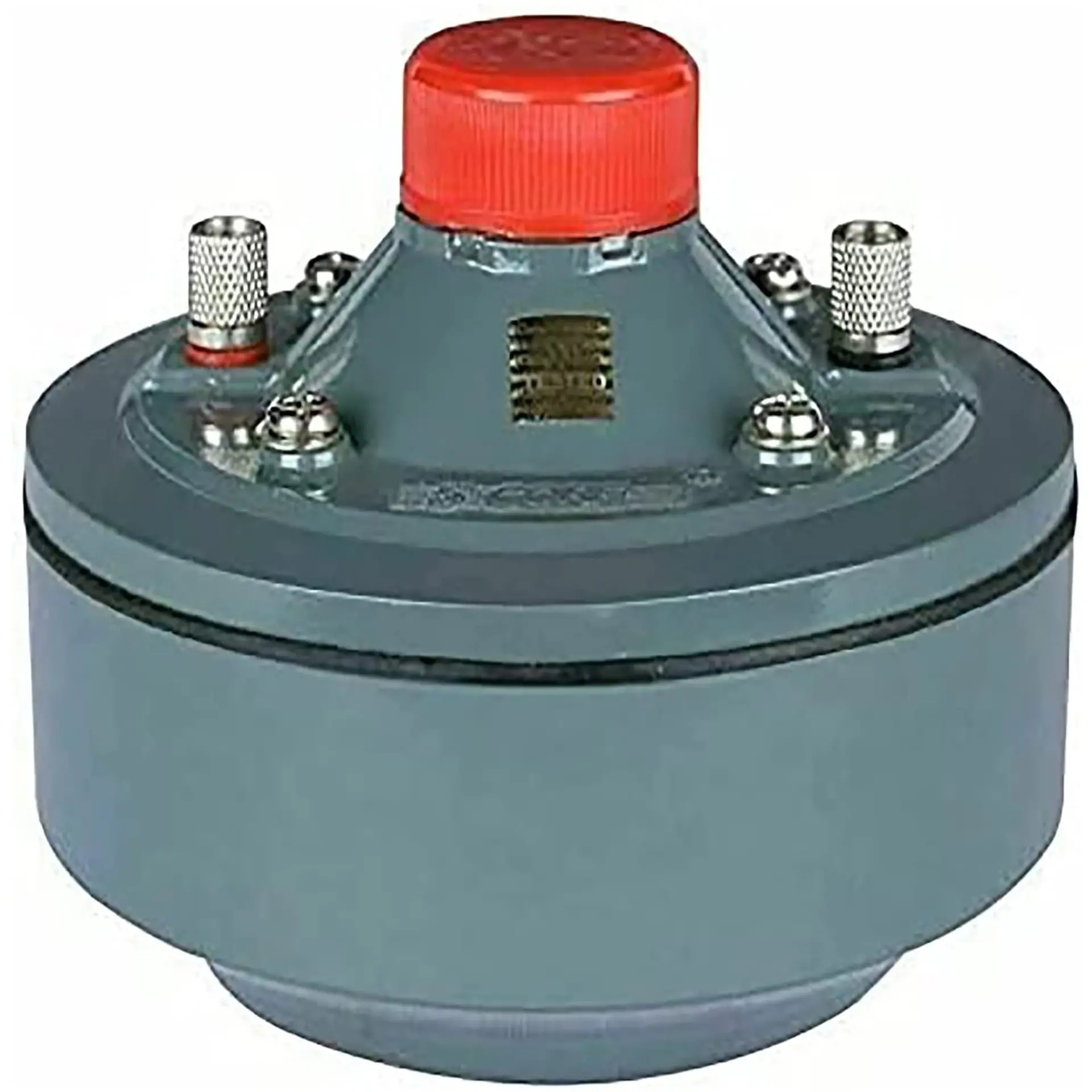 59417285_large.webp — Trend Oasis