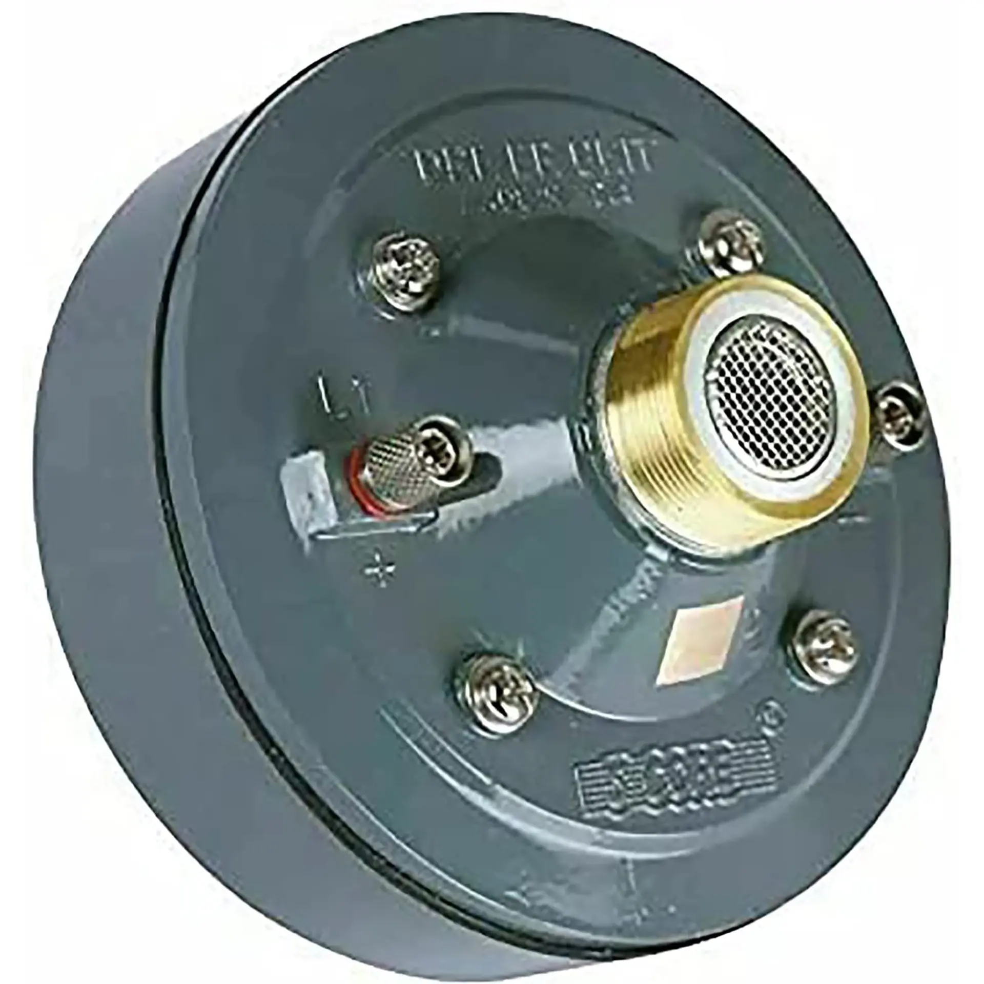 59417439_large.webp — Trend Oasis