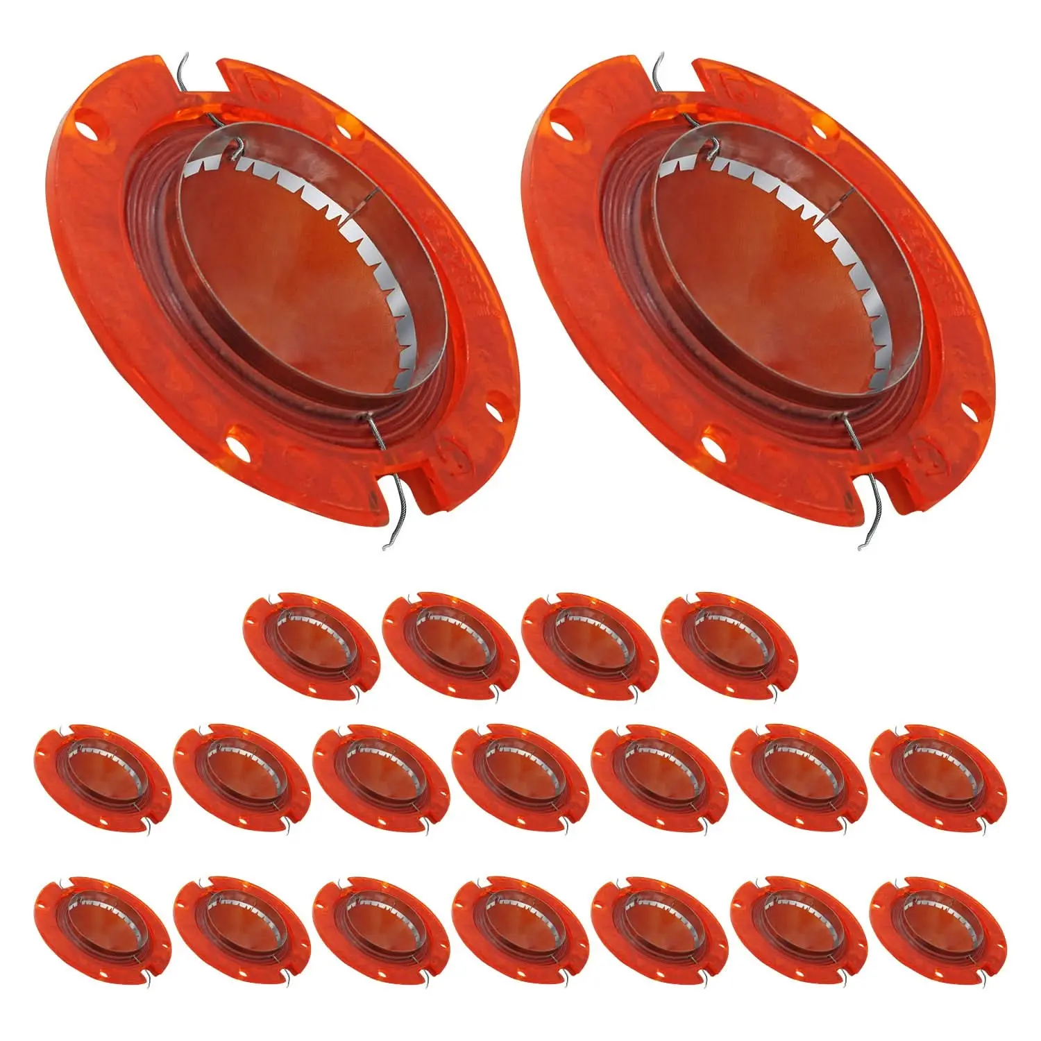 59417899_large.webp — Trend Oasis