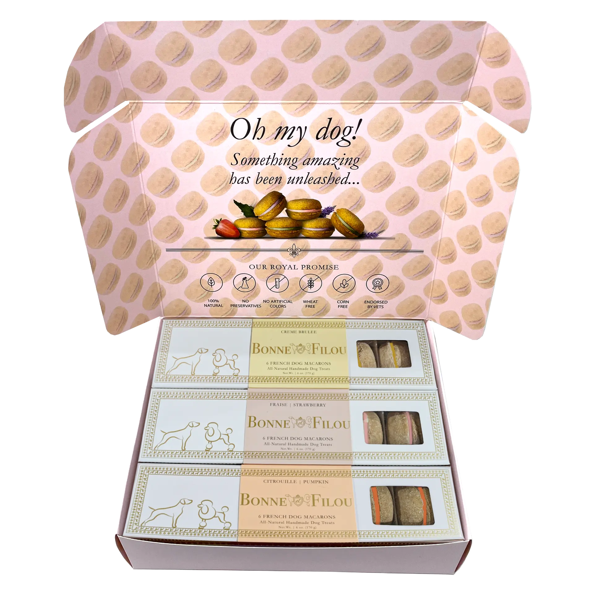 59754007_large.webp — Trend Oasis