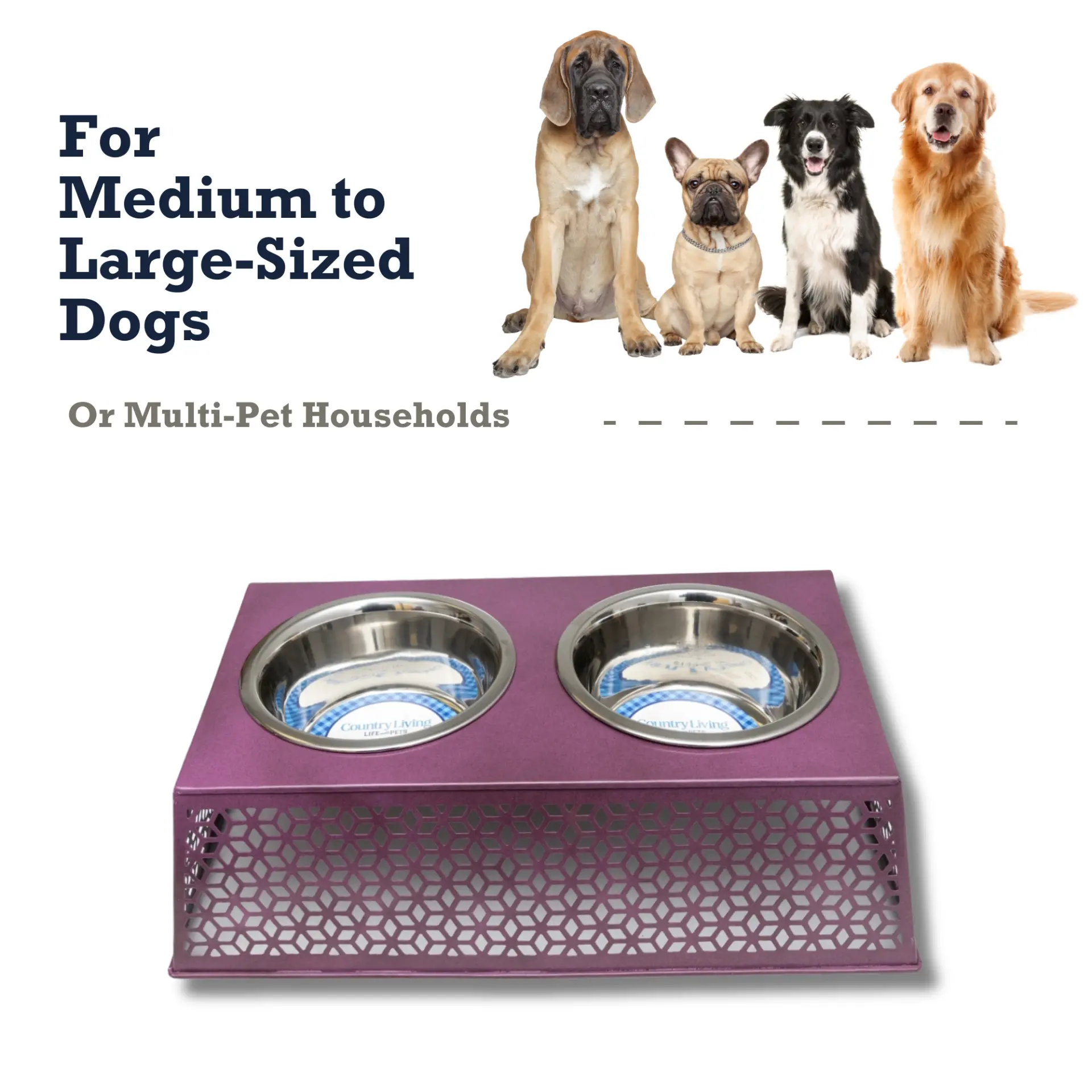 59784557_largewebp — Trend Oasis