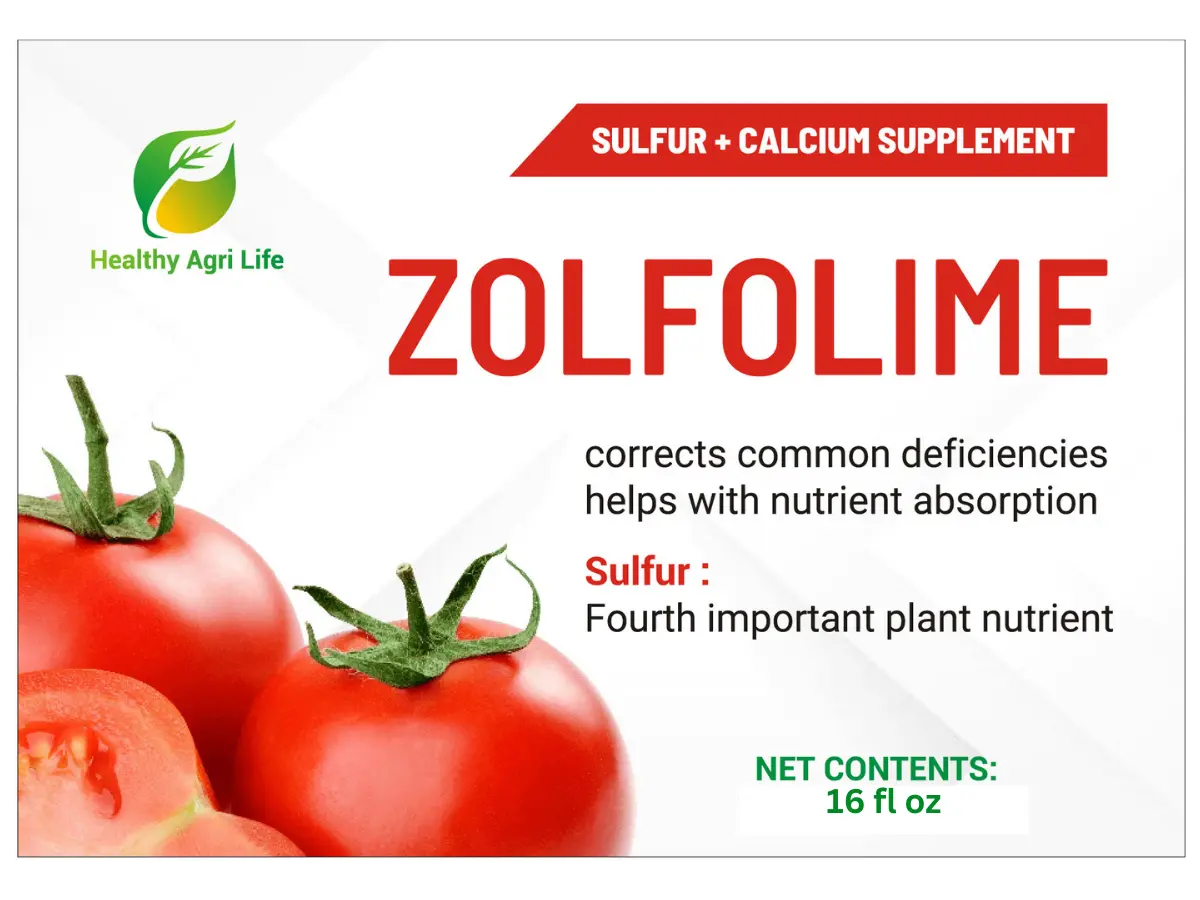 59800305_largewebp — Trend Oasis