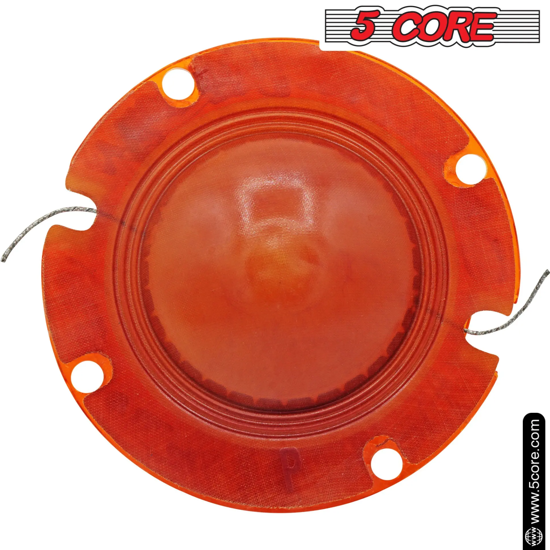 60804575_large.webp — Trend Oasis