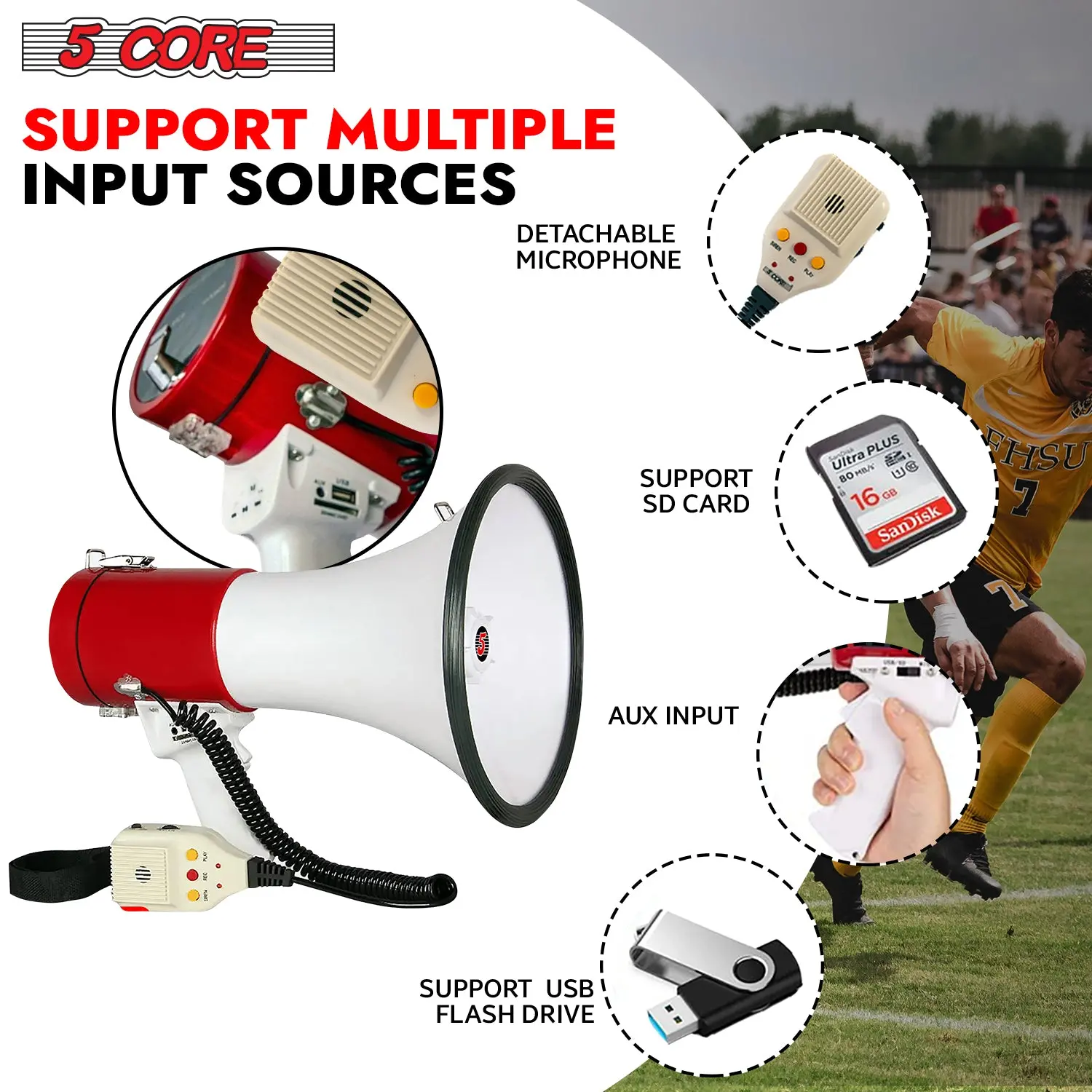 60815247_large.webp — Trend Oasis