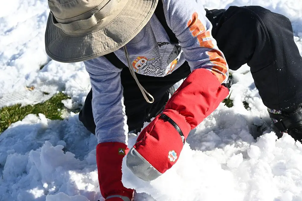 60979327_large.webp — Trend Oasis