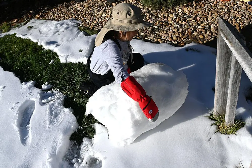 60979328_large-1webp — Trend Oasis