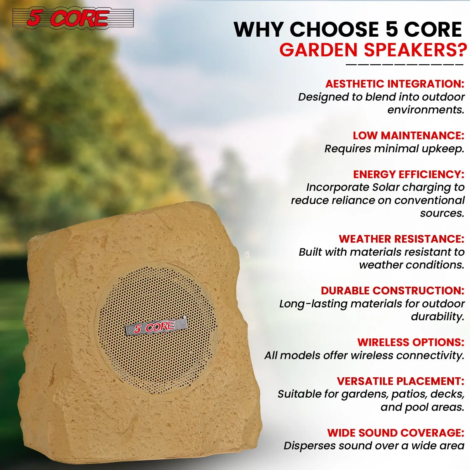 64561601_large.webp — Trend Oasis