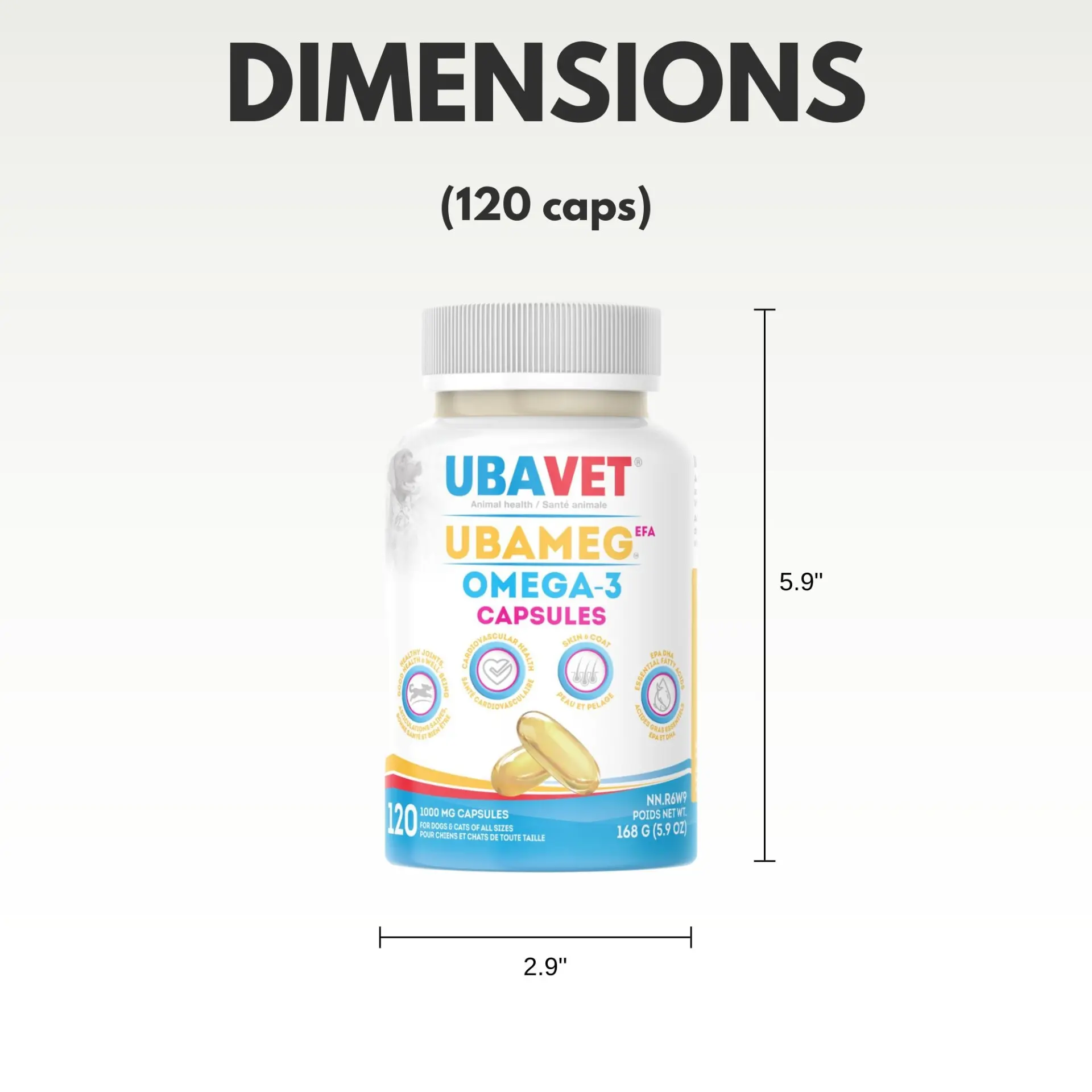 64632642_largewebp — Trend Oasis