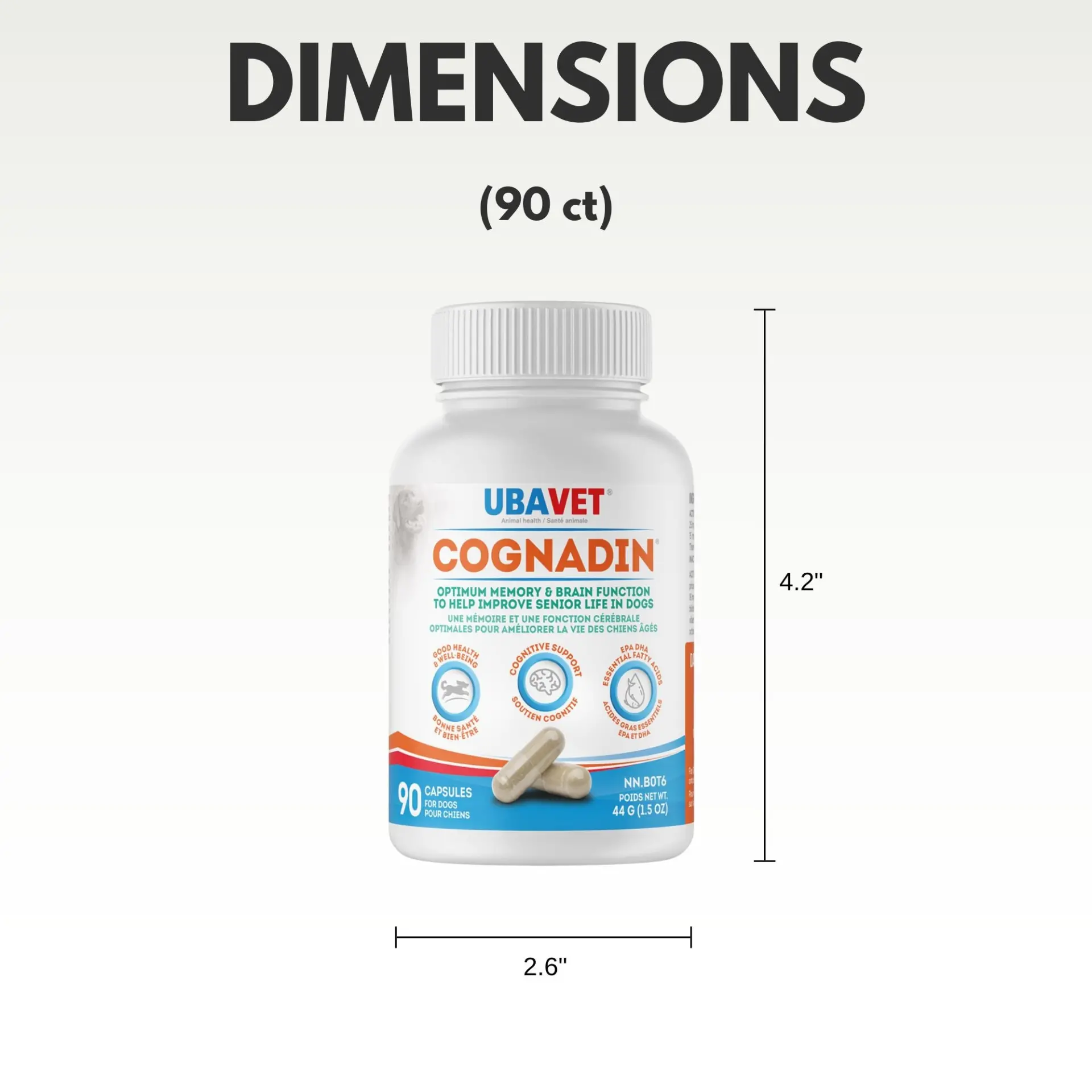 64632656_largewebp — Trend Oasis