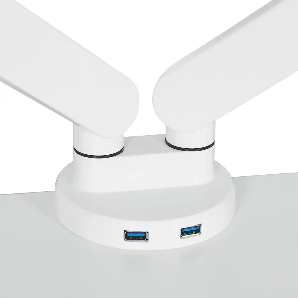 68234365_large.webp — Trend Oasis