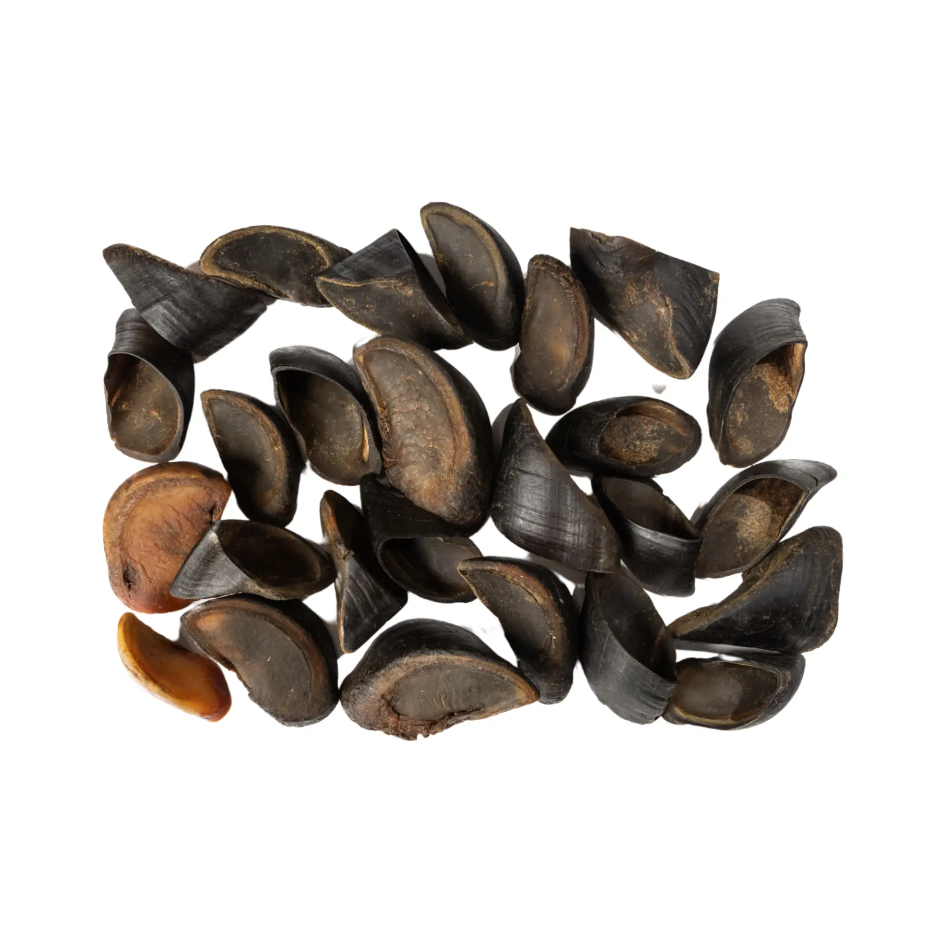 69856725_largewebp — Trend Oasis