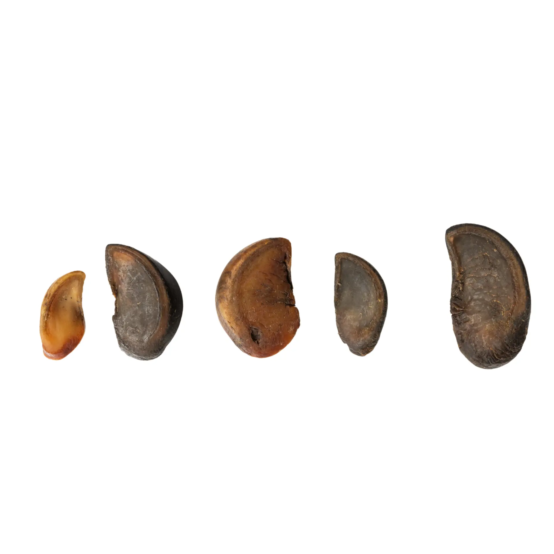 69856726_largewebp — Trend Oasis