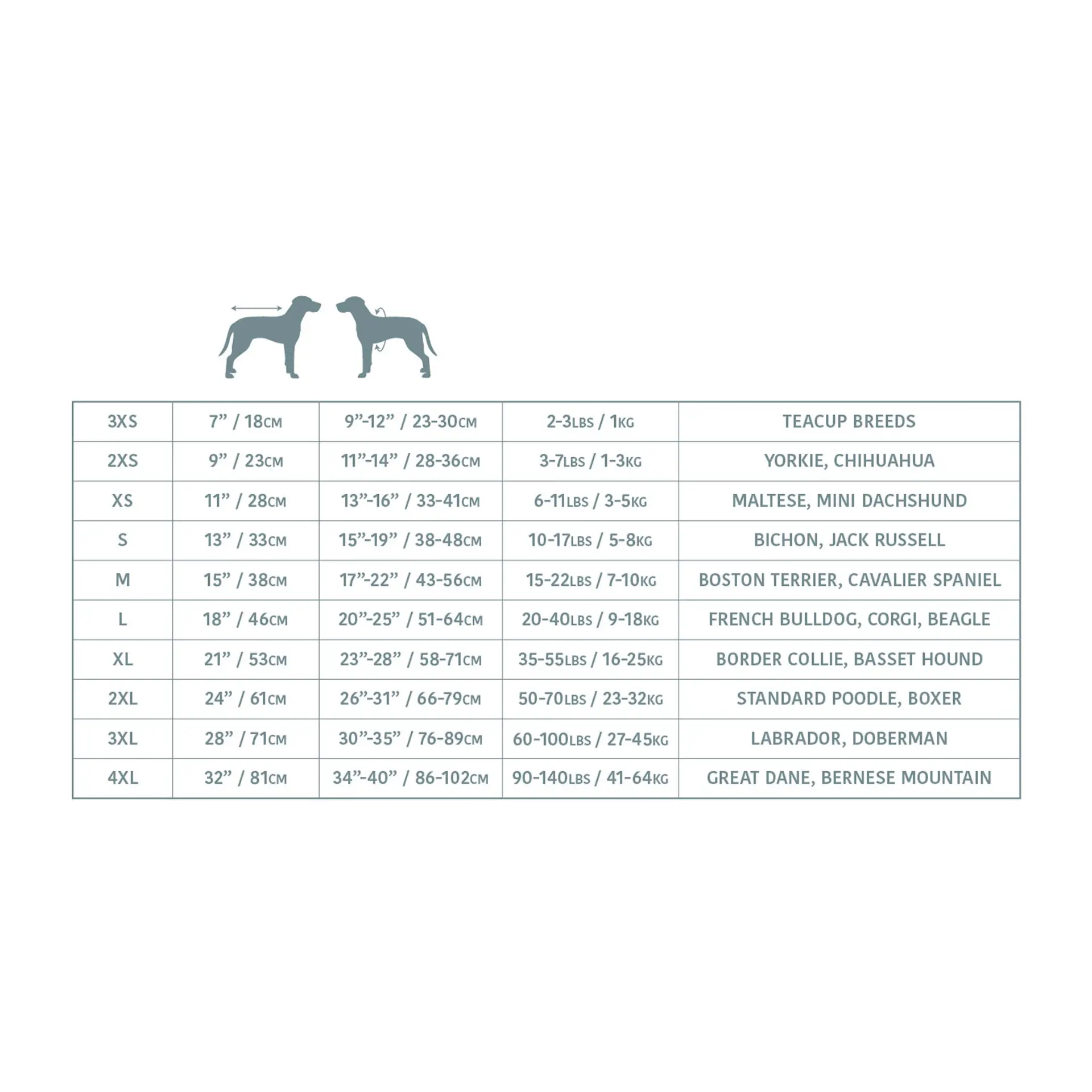 13157188_largewebp — Trend Oasis