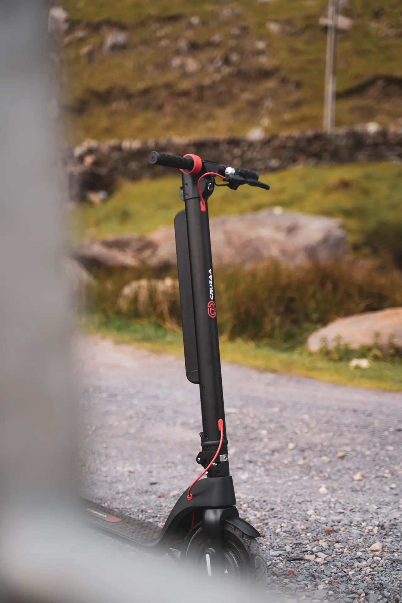 DSC02418.jpg — Trend Oasis