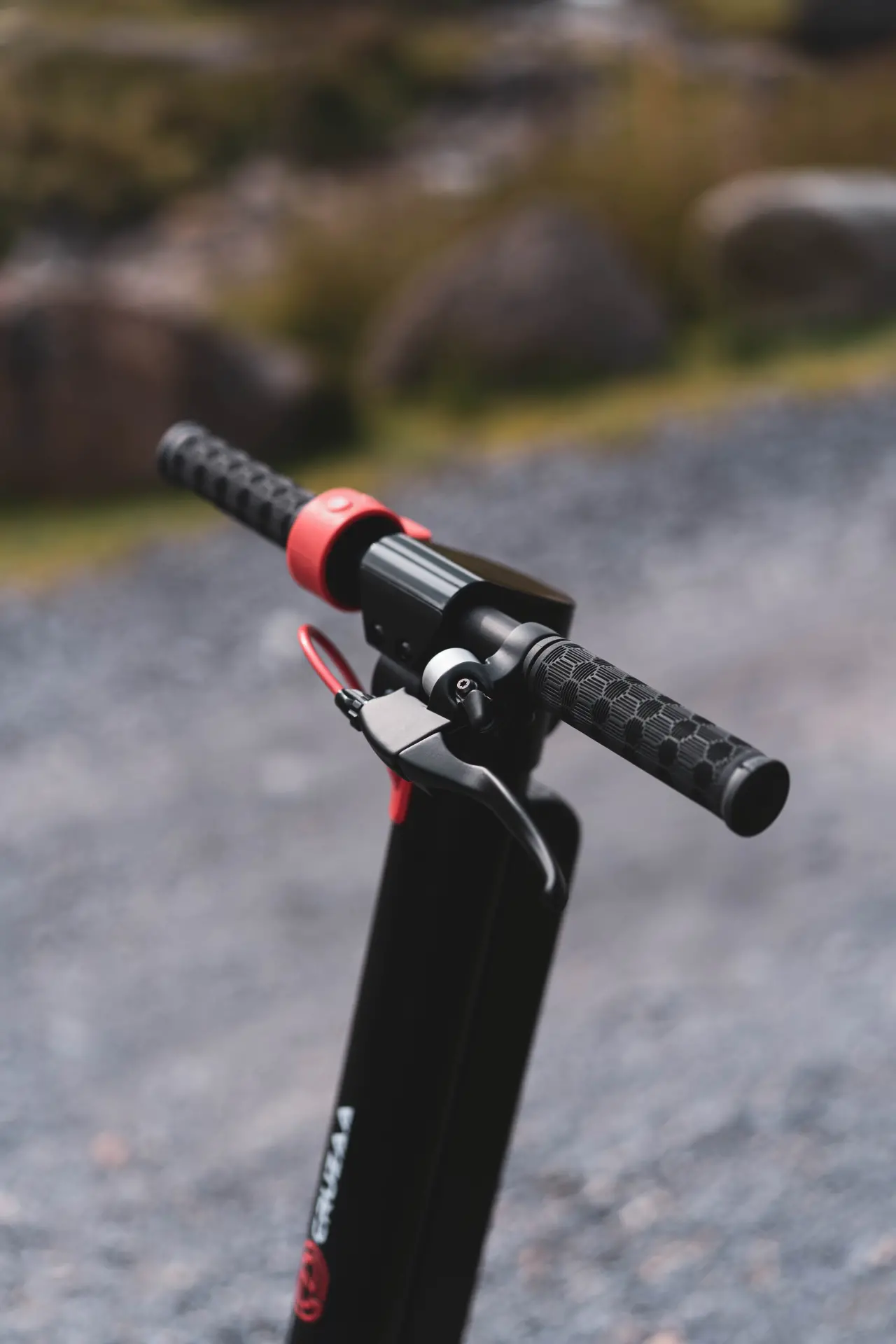 DSC02370.jpg — Trend Oasis